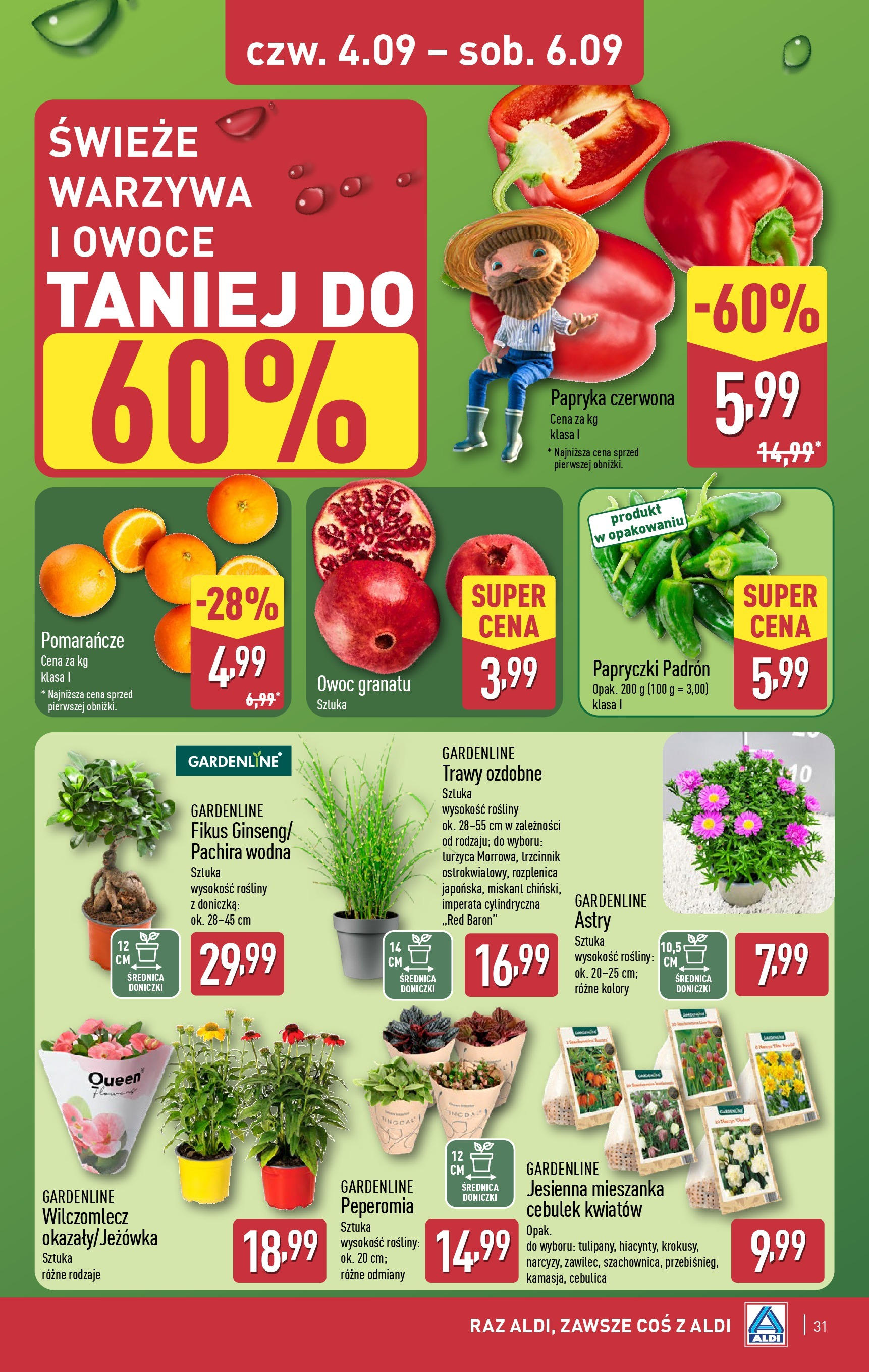 Aldi Gazetka ważna od  01.09.2025 do 06.09.2025 strona 33