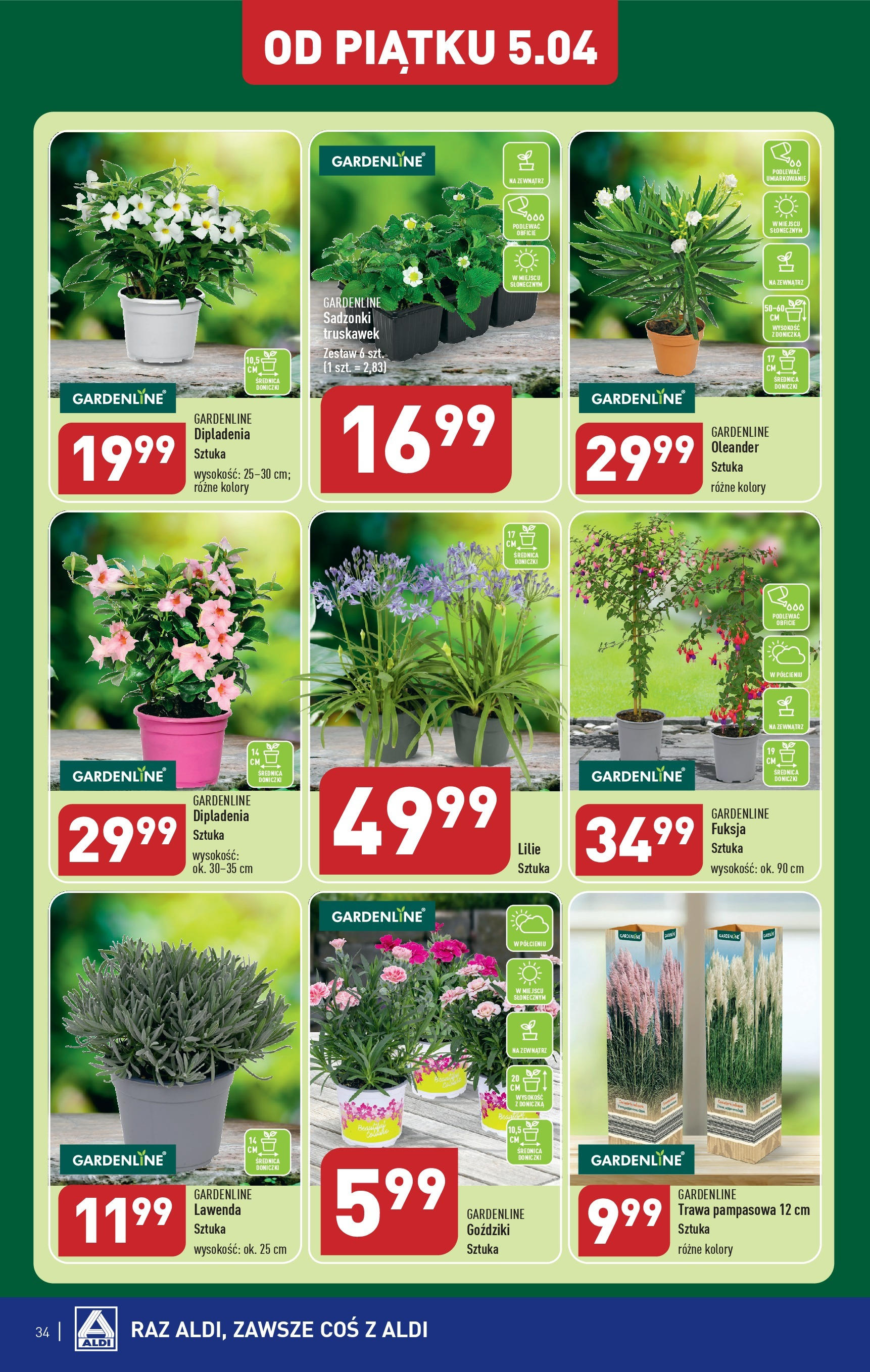 Aldi Gazetka ważna od 02.04.2024 do 06.04.2024 strona 34