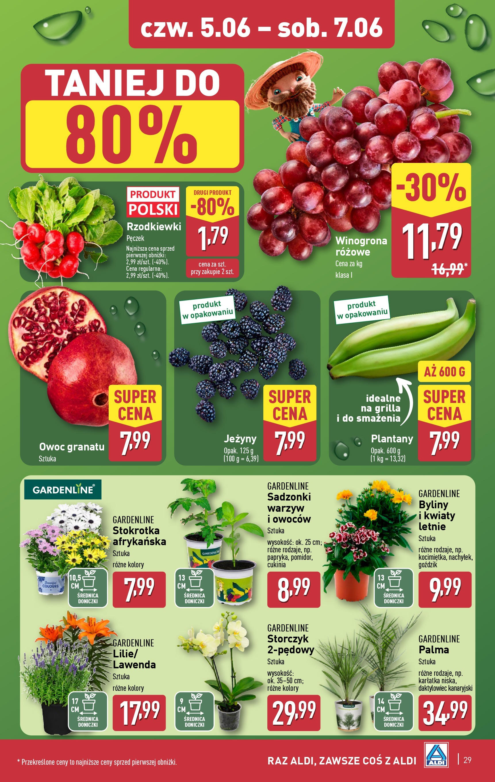 Aldi Gazetka ważna od 02.06.2025 do 07.06.2025 strona 26