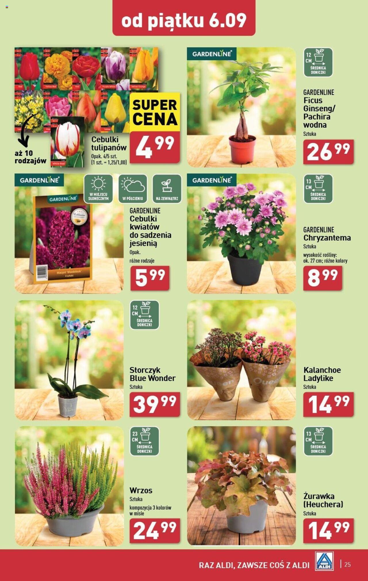 Aldi Gazetka ważna od 02.09.2024 do 07.09.2024 strona 25