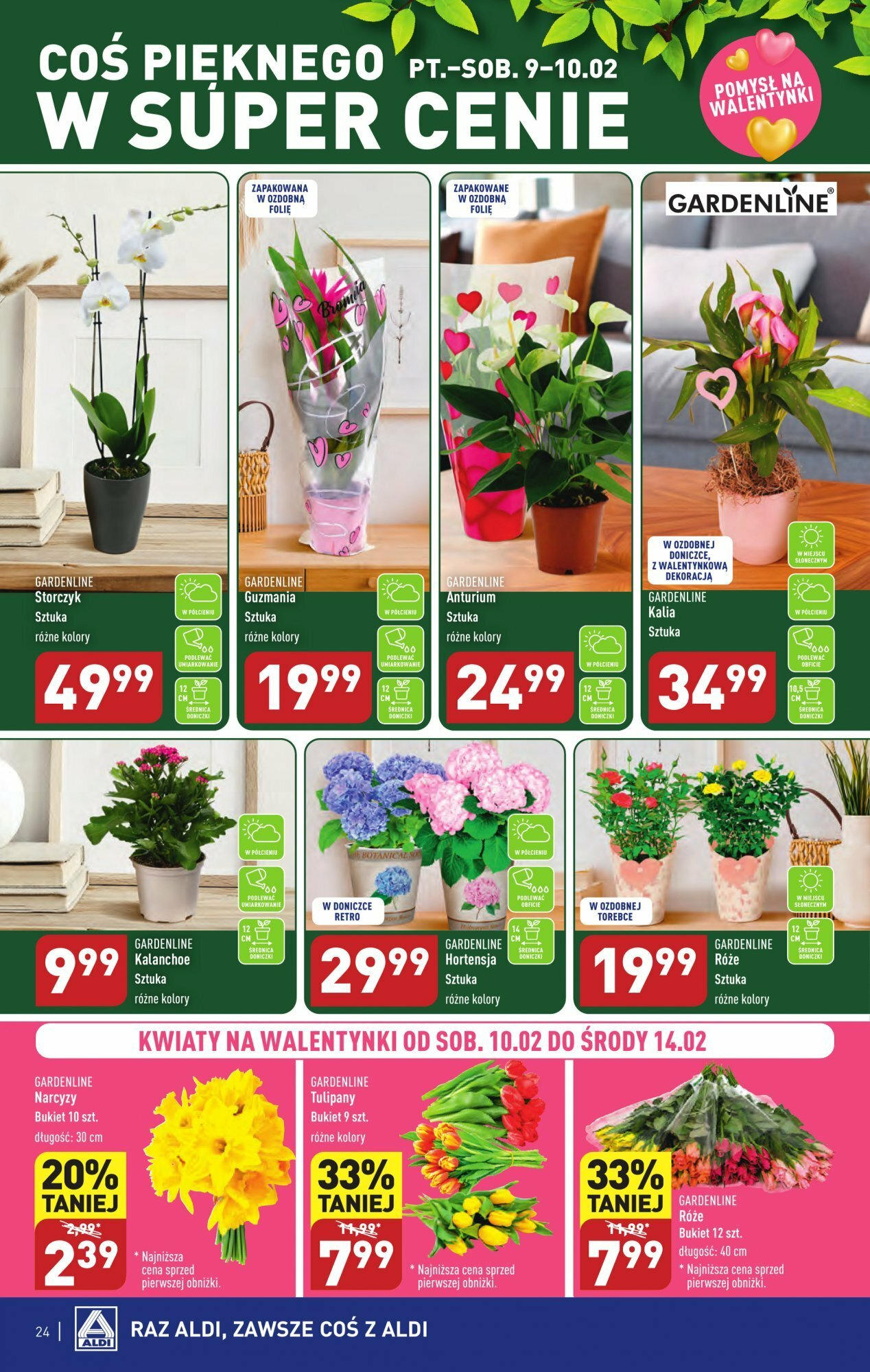 Aldi Gazetka ważna od 05.02.2024 do 10.02.2024 strona 24