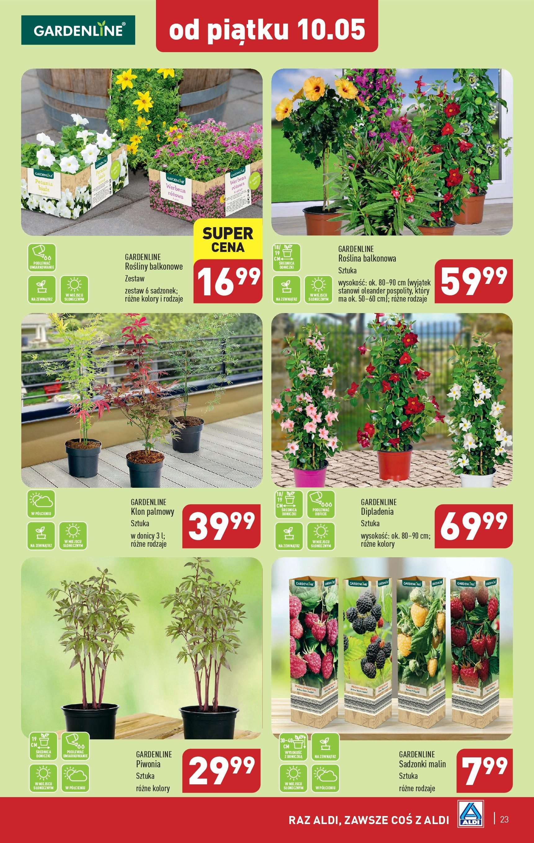 Aldi Gazetka ważna od 06.05.2024 do 11.05.2024 strona 21