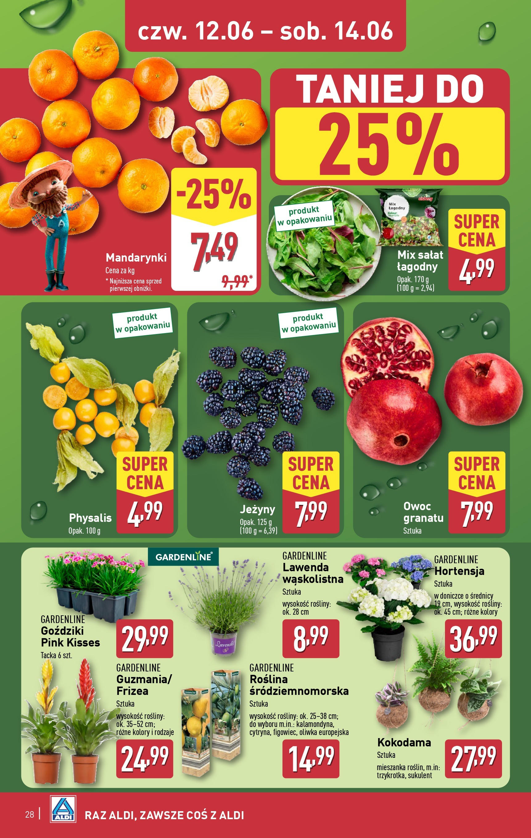 Aldi Gazetka ważna od 09.06.2025 do  14.06.2025 strona 28