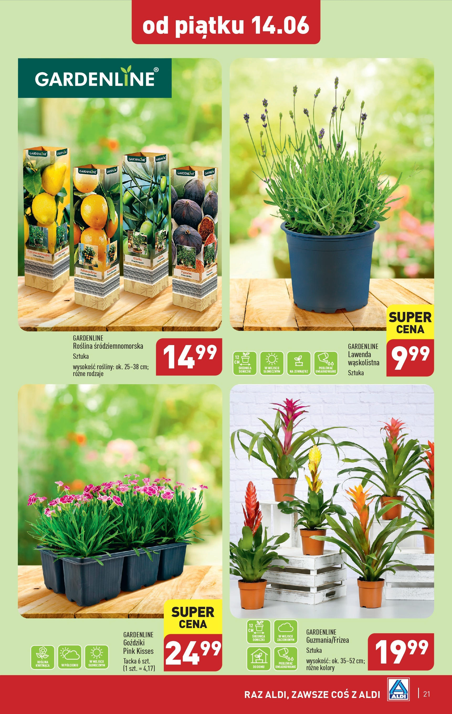 Aldi Gazetka ważna od 10.06.2024 do 15.06.2024 strona 18