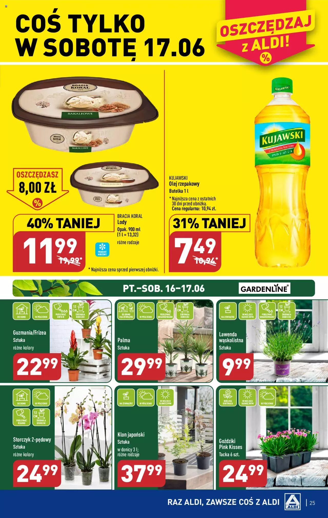 Aldi Gazetka ważna od 12.06.2023 do 17.06.2023 strona 25