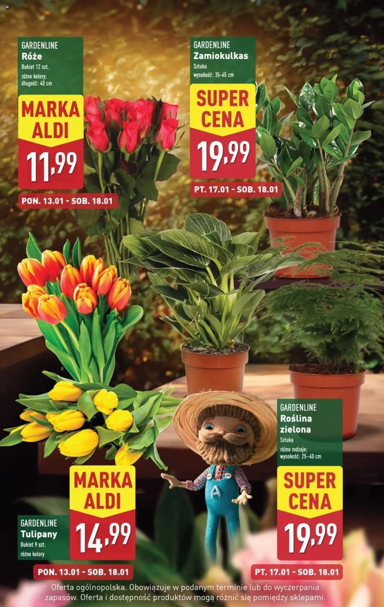 Aldi Gazetka ważna od 13.01.2025 do 18.01.2025 strona 5