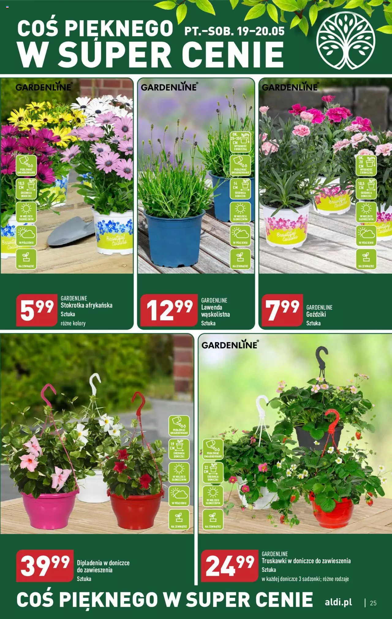 Aldi Gazetka ważna od 15.05.2023 do 20.05.2023 strona 25