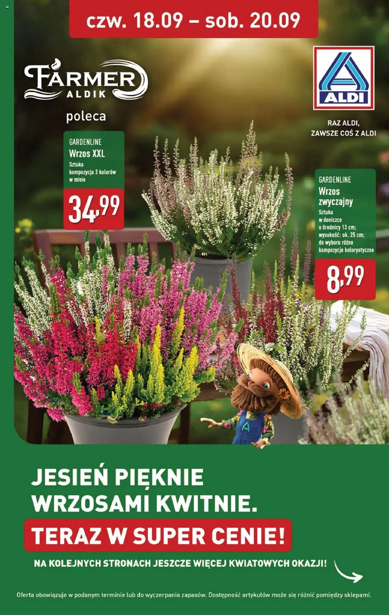 Aldi  Gazetka ważna od 15.09.2025 do soboty 20.09.2025 strona 33