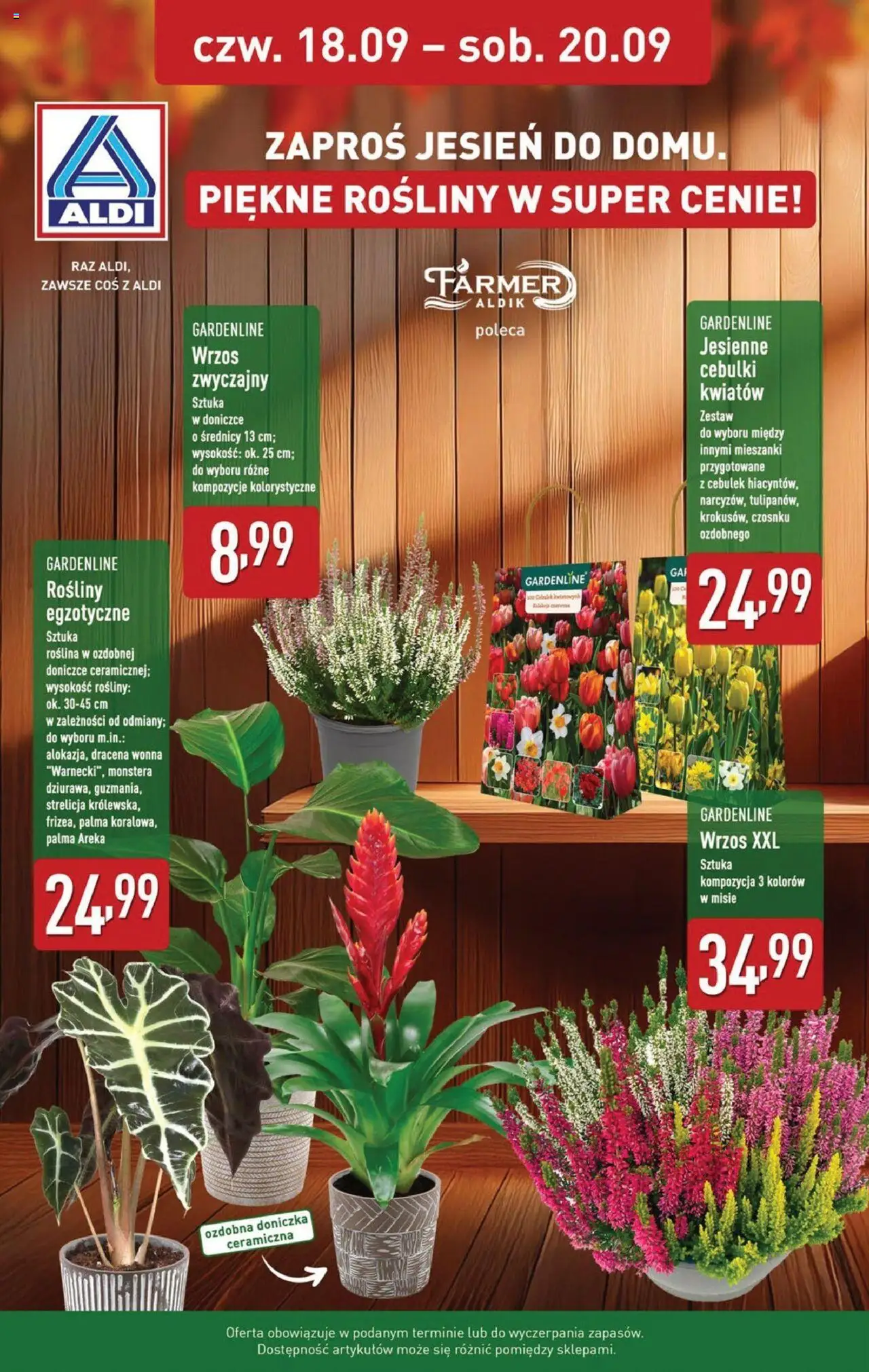 Aldi  Gazetka ważna od 15.09.2025 do soboty 20.09.2025 strona 34
