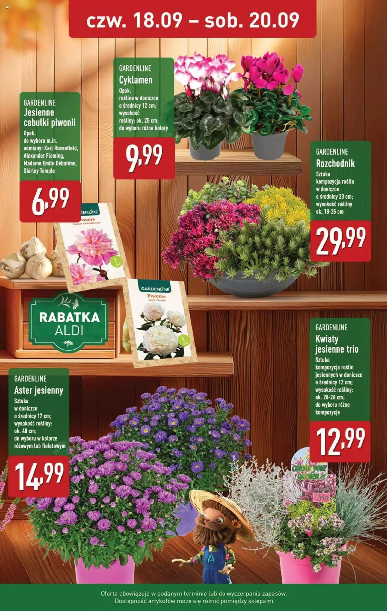 Aldi  Gazetka ważna od 15.09.2025 do soboty 20.09.2025 strona 35
