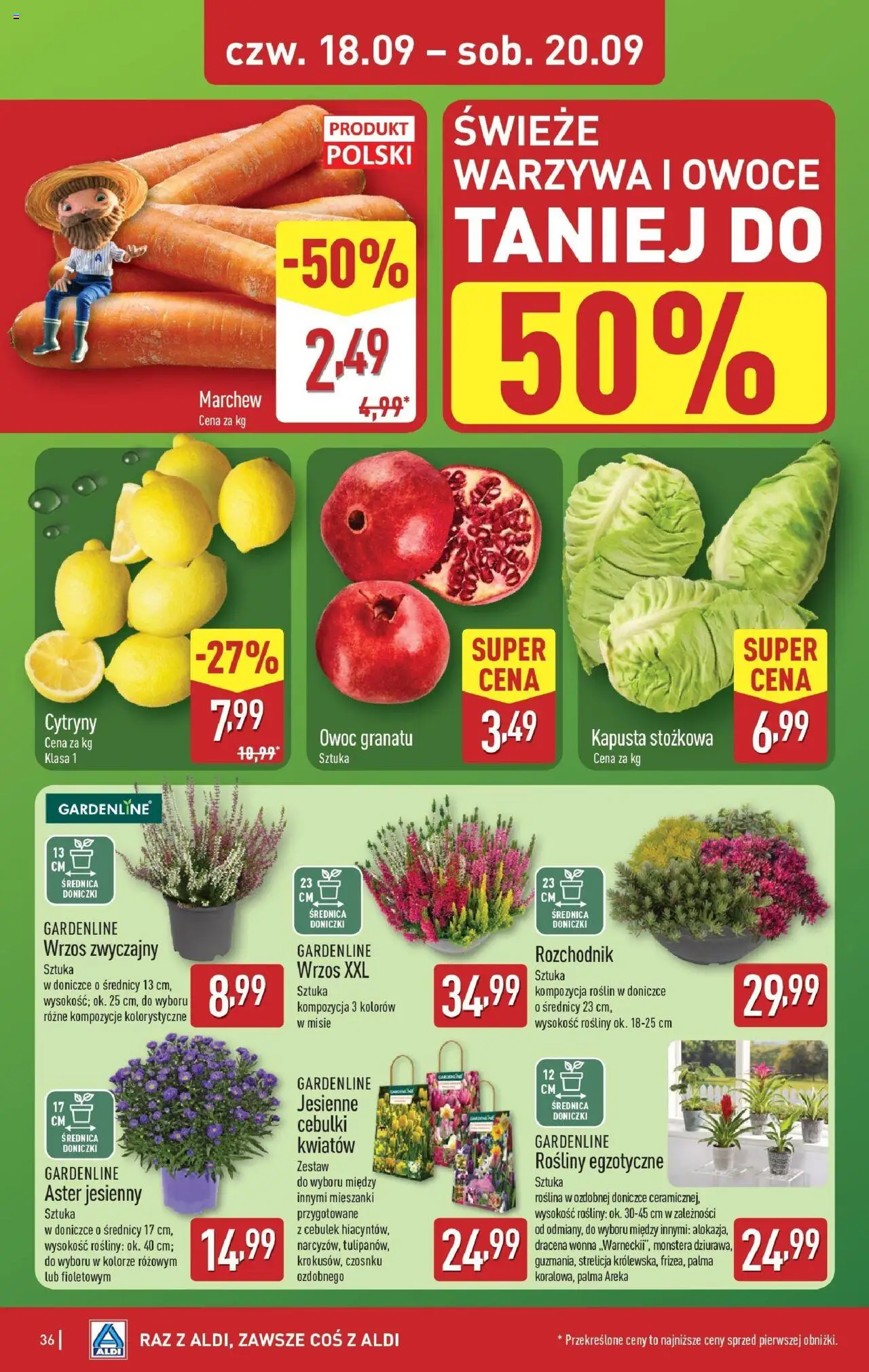Aldi  Gazetka ważna od 15.09.2025 do soboty 20.09.2025 strona 36