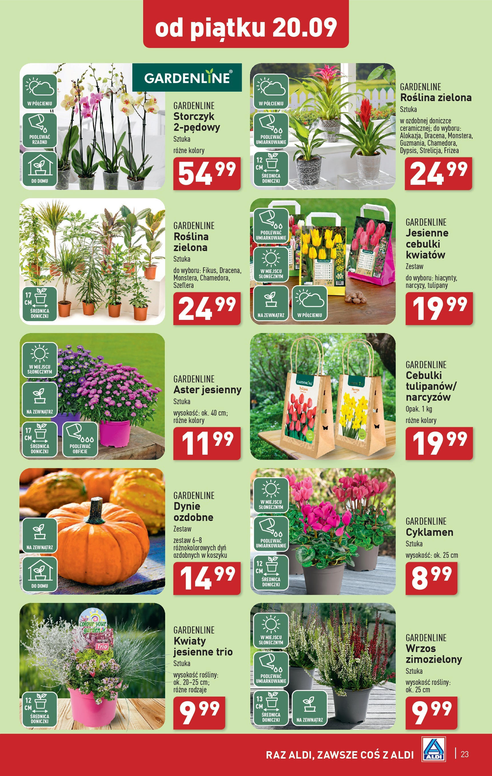 Aldi Gazetka ważna od 16.09.2024 do 21.09.2024 strona 23