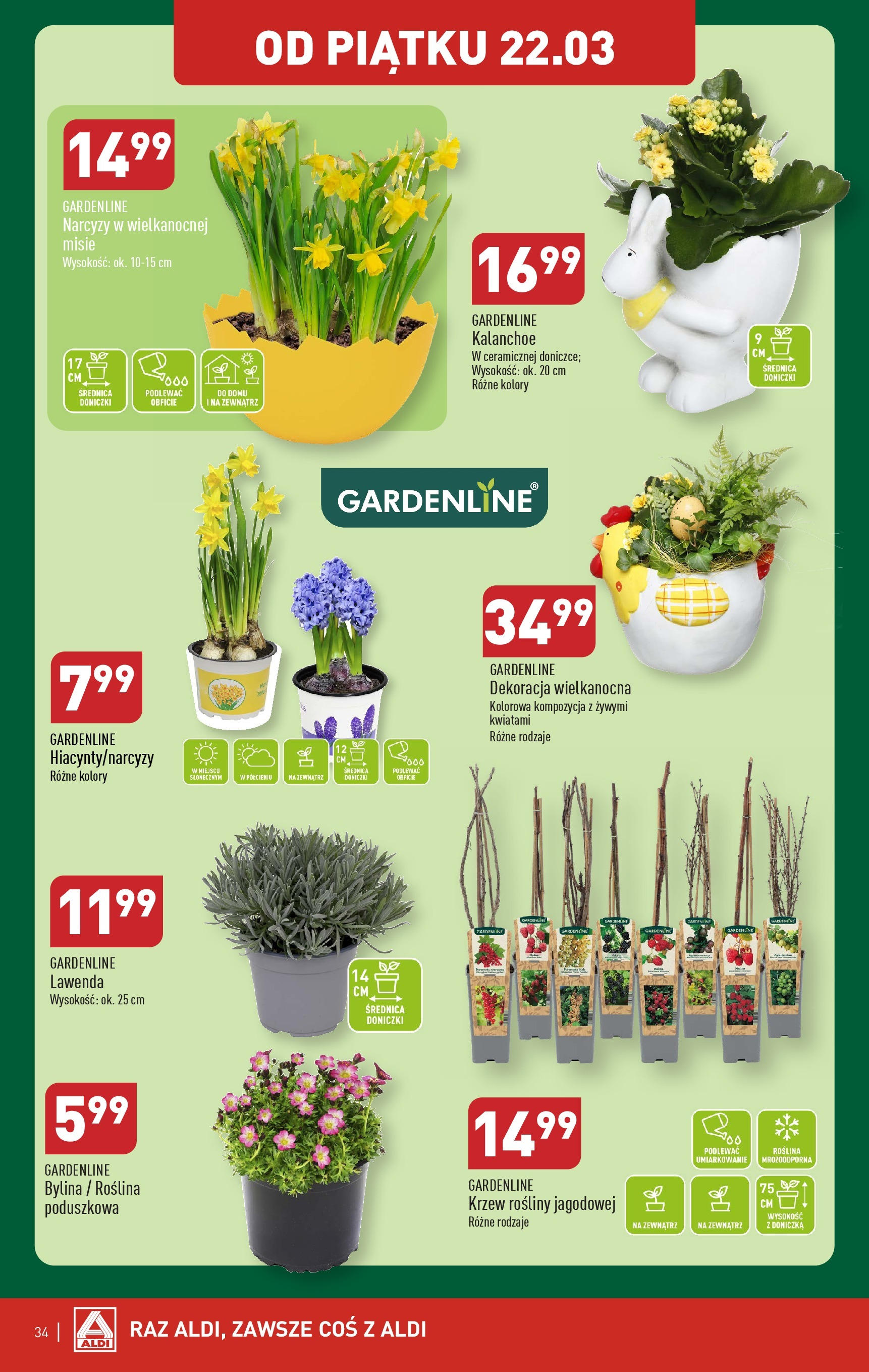 Aldi Gazetka ważna od 18.03.2024 do 24.03.2024 strona 31