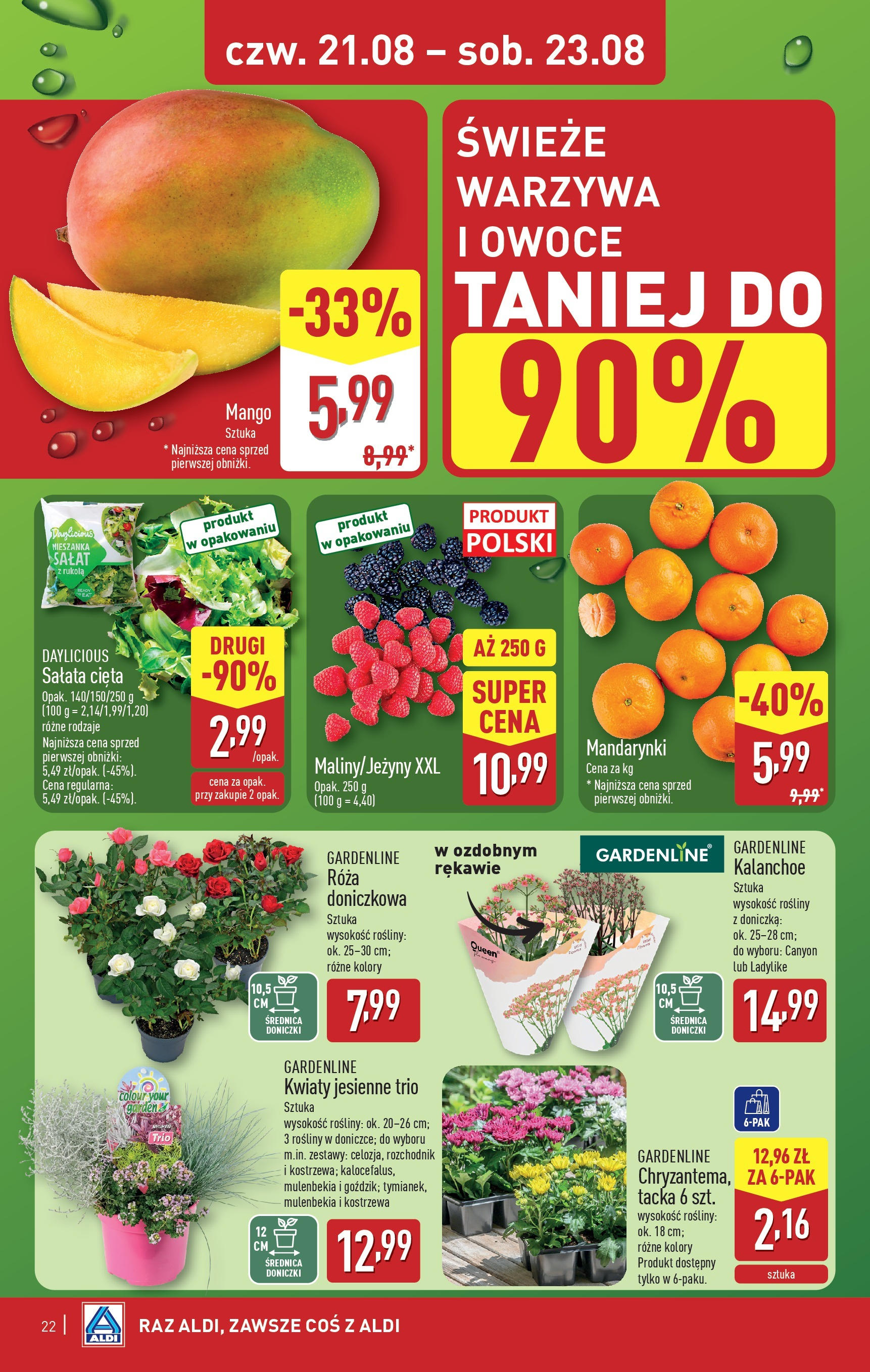 Aldi Gazetka ważna od  18.08.2025 do 22.08.2025 strona 22
