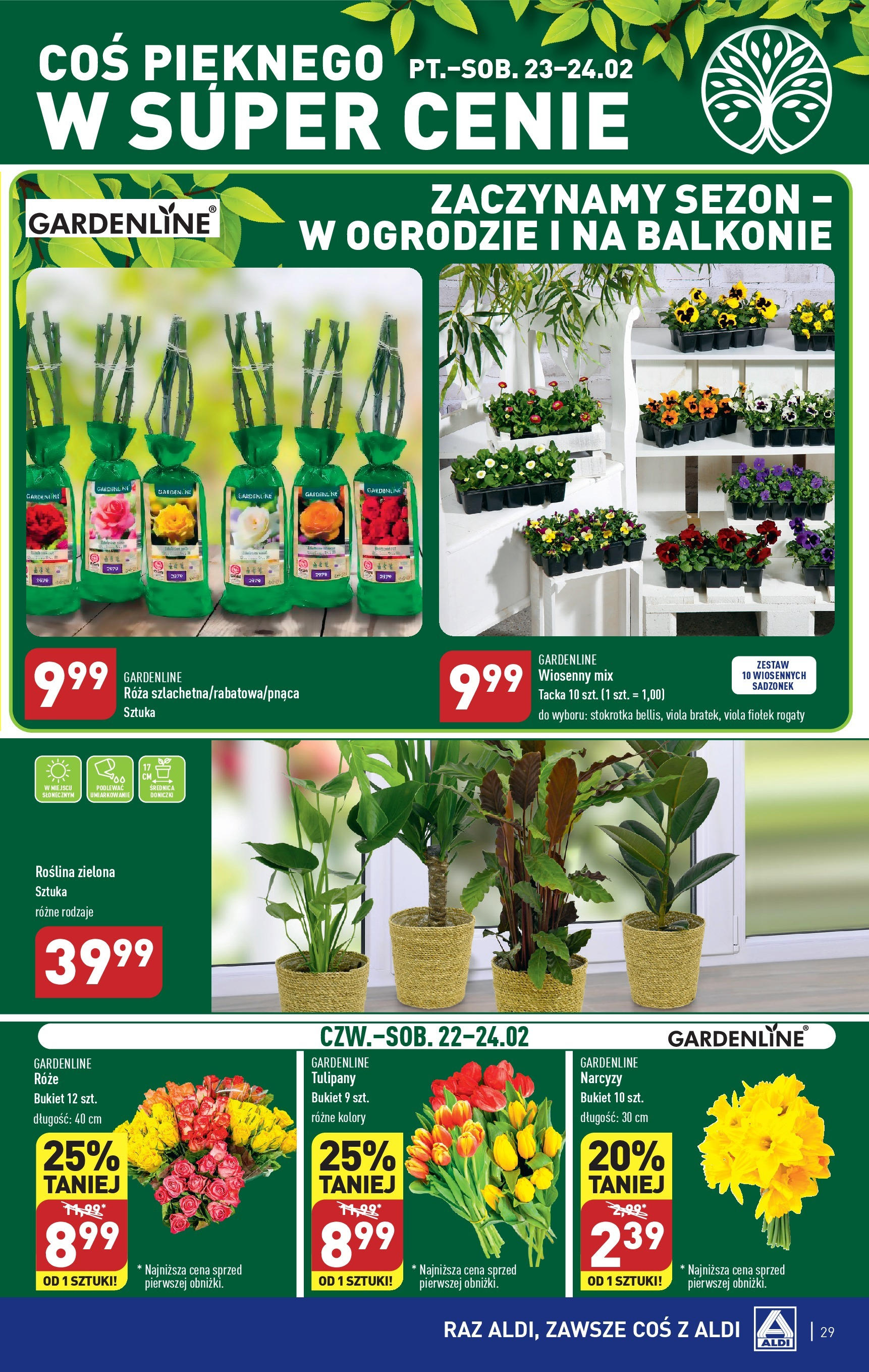 Aldi Gazetka ważna od 19.02.2024 do 24.02.2024 strona 25