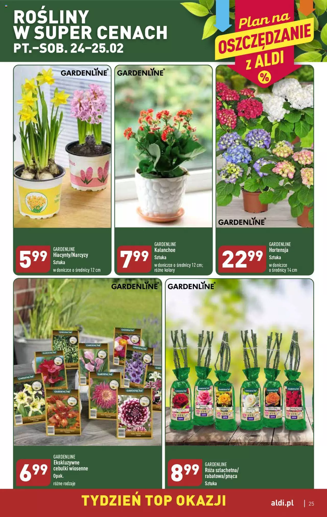 Aldi Gazetka ważna od 20.02.2023 do 25.02.2023 strona 25