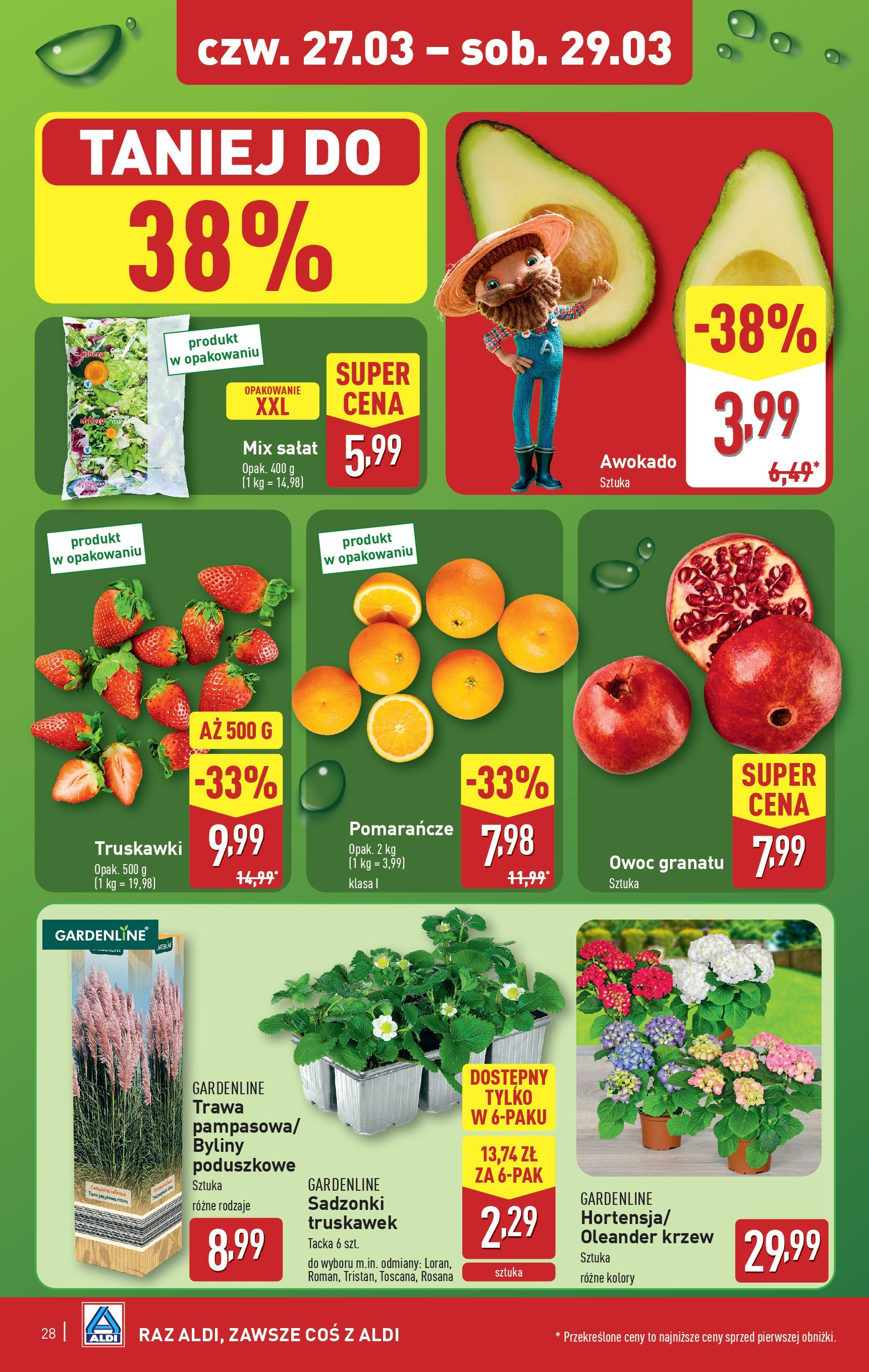 Aldi  Gazetka ważna od 24.03.2025 do 29.03.2025 strona 19