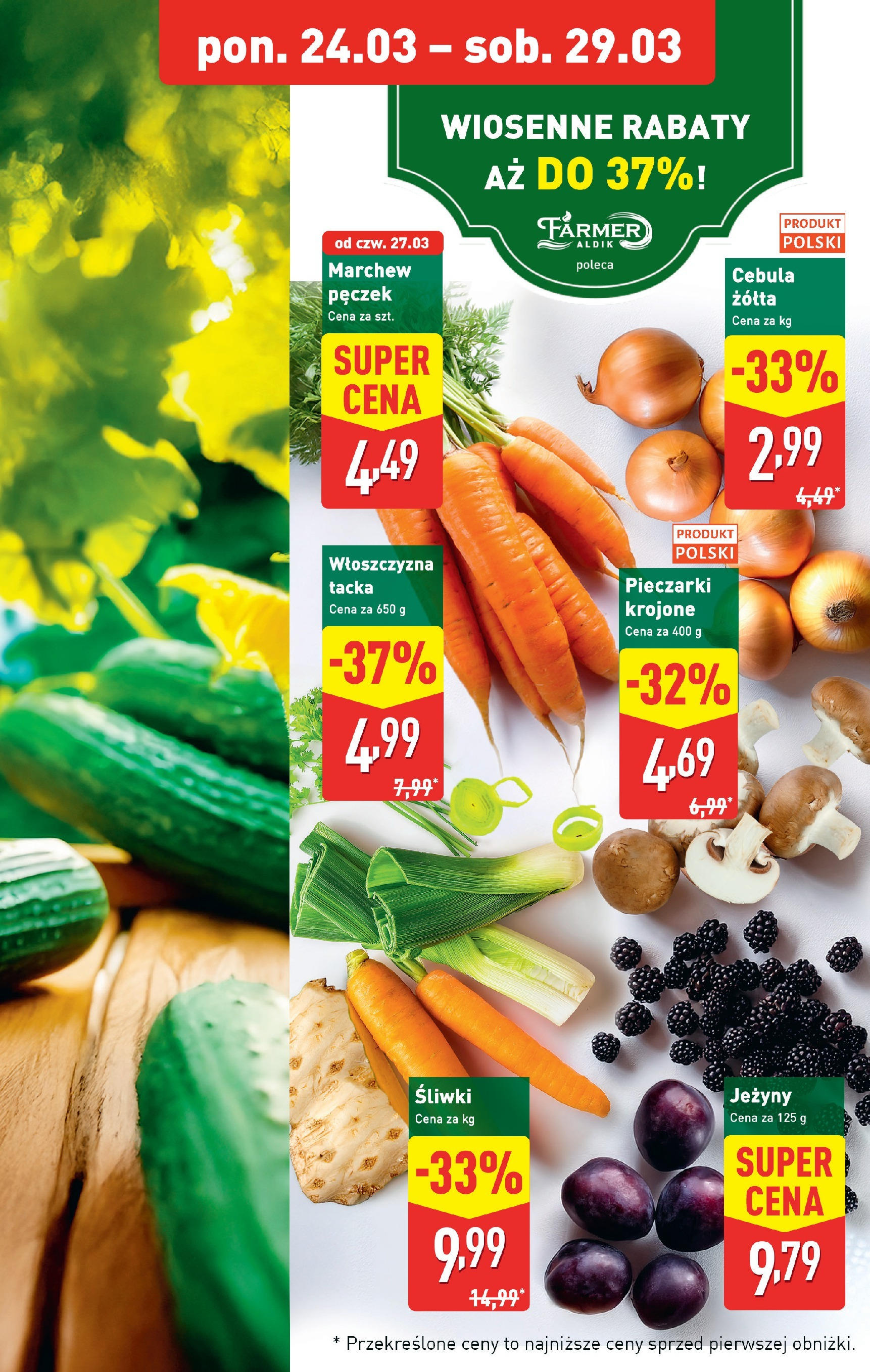 Aldi  Gazetka ważna od 24.03.2025 do 29.03.2025 strona 23