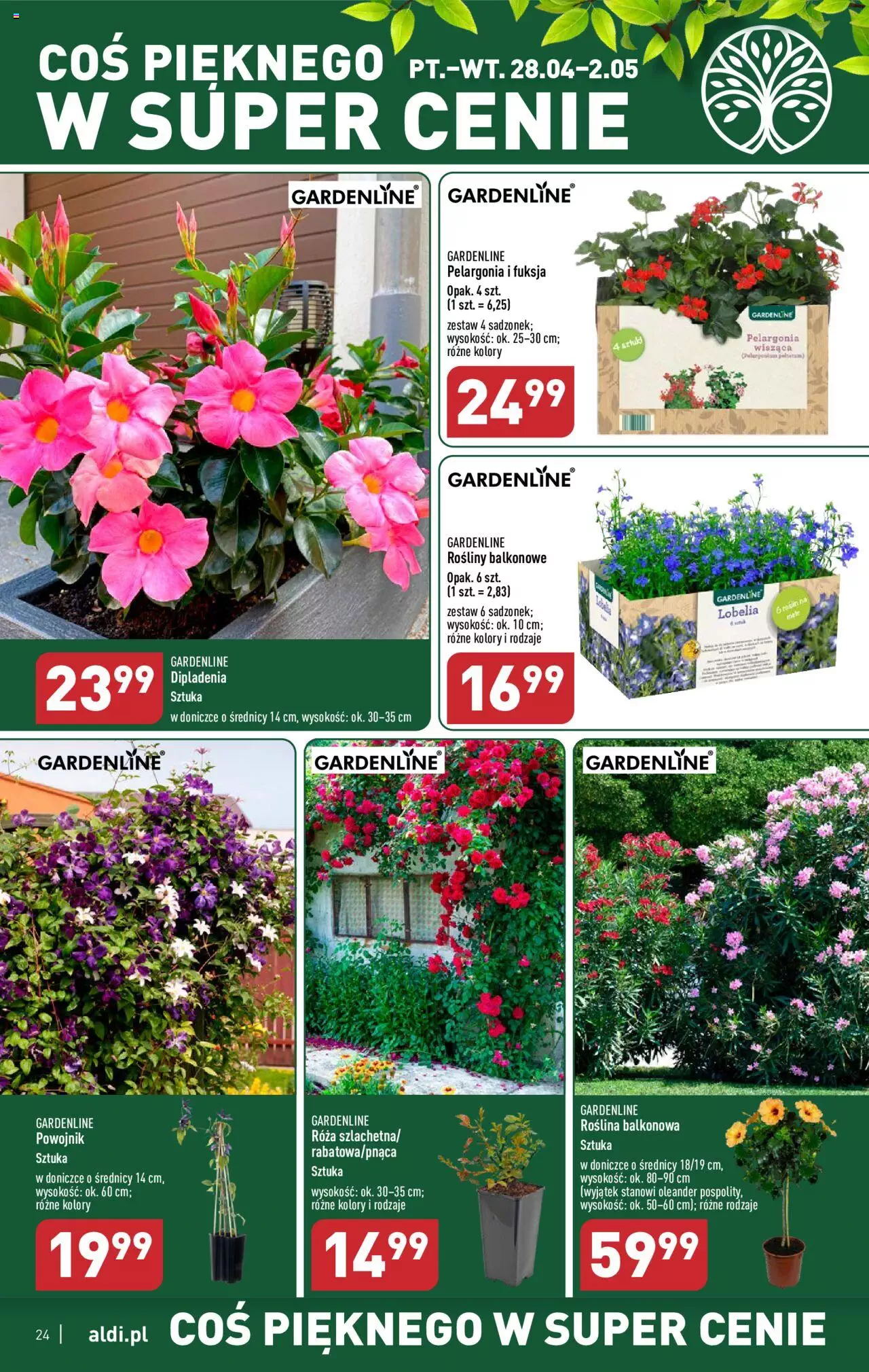 Aldi Gazetka ważna od 24.04.2023 do 02.05.2023 strona 24