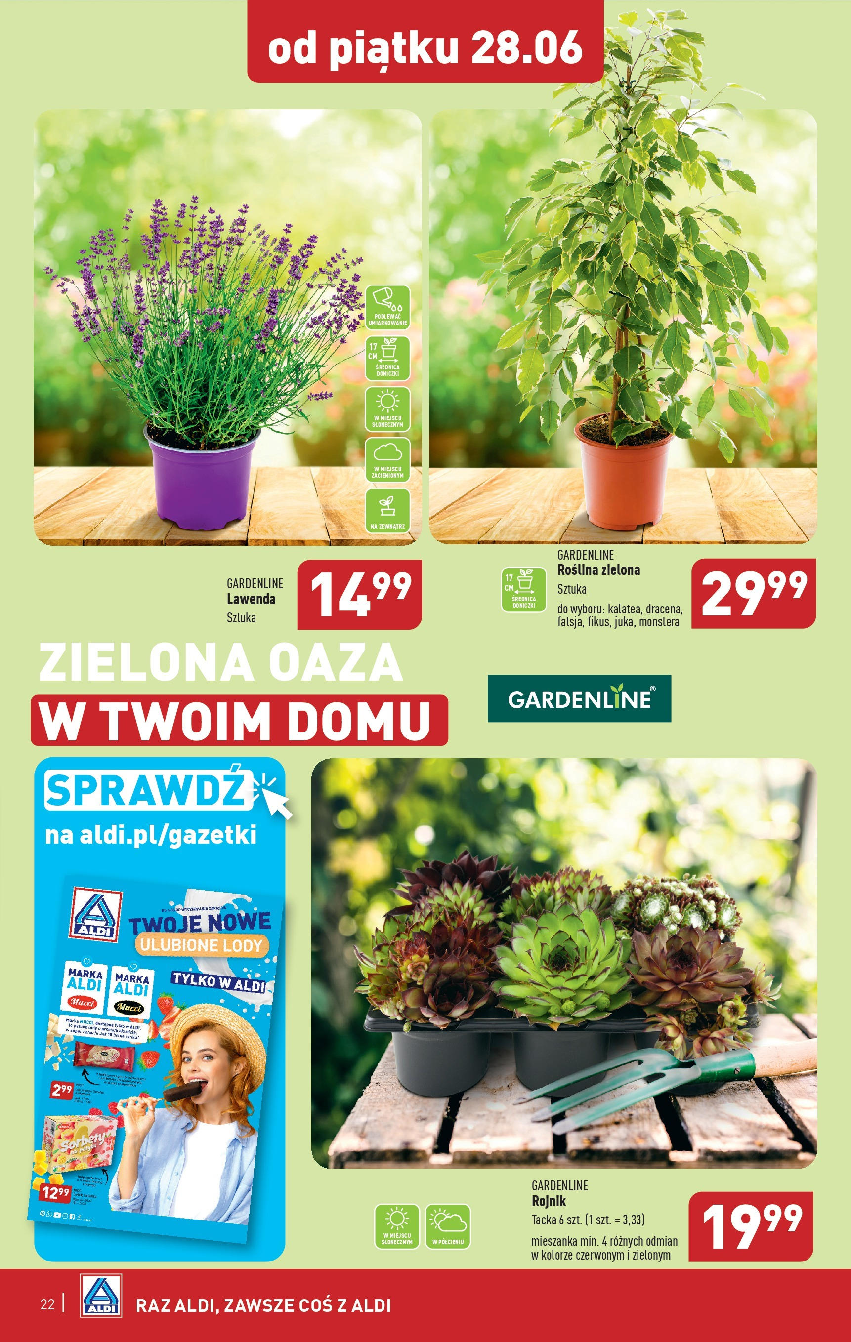 Aldi Gazetka ważna od 24.06.2024 do 30.06.2024 strona 20