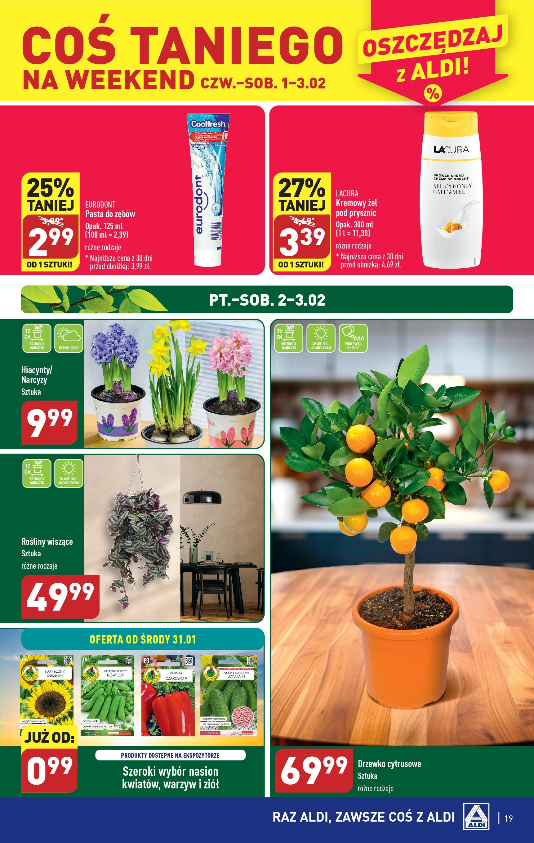 Aldi Gazetka ważna od 28.01.2024 do 31.01.2024 strona 19