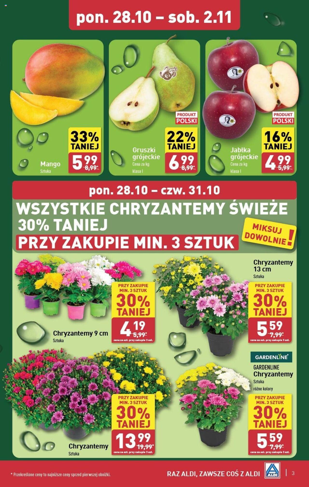 Aldi Gazetka ważna od 28.10.2024 do 02.11.2024 strona 3