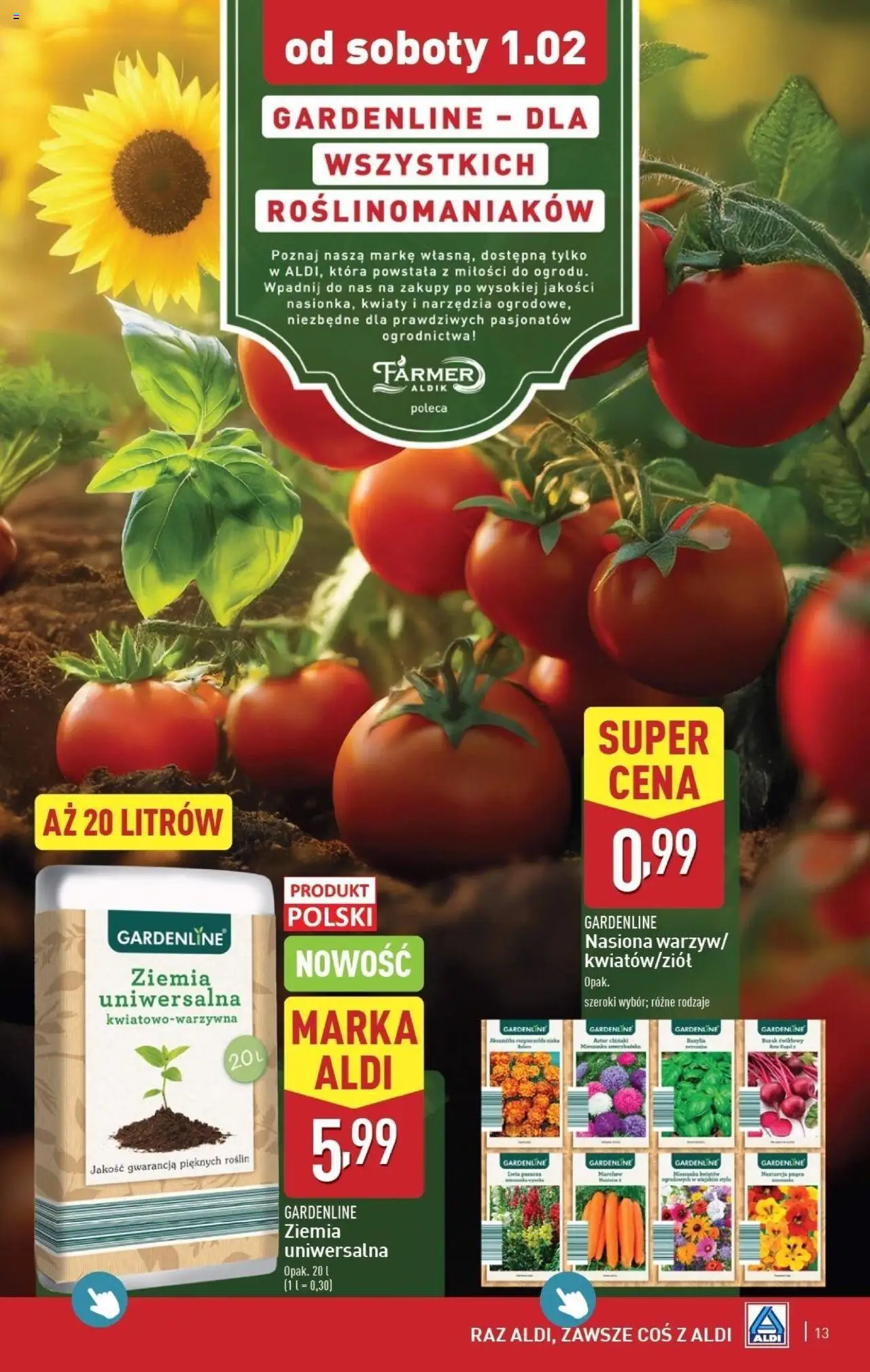 Aldi Hity od Środy i od Soboty Gazetka ważna od 29.01.2025 do 01.02.2025 strona 13