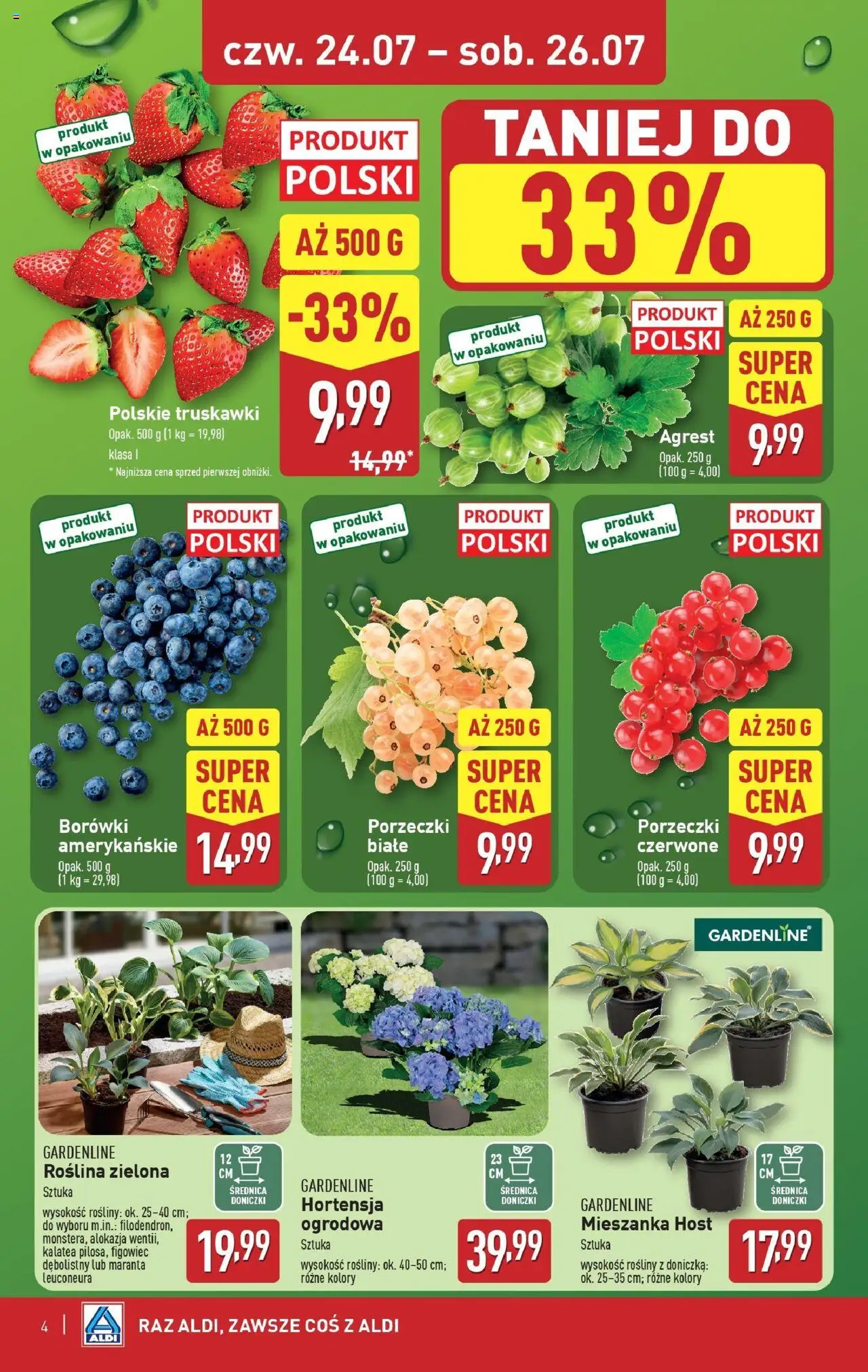 Aldi Okazje na weekend Gazetka ważna od 24.07.2025 do 26.07.2025 strona 4