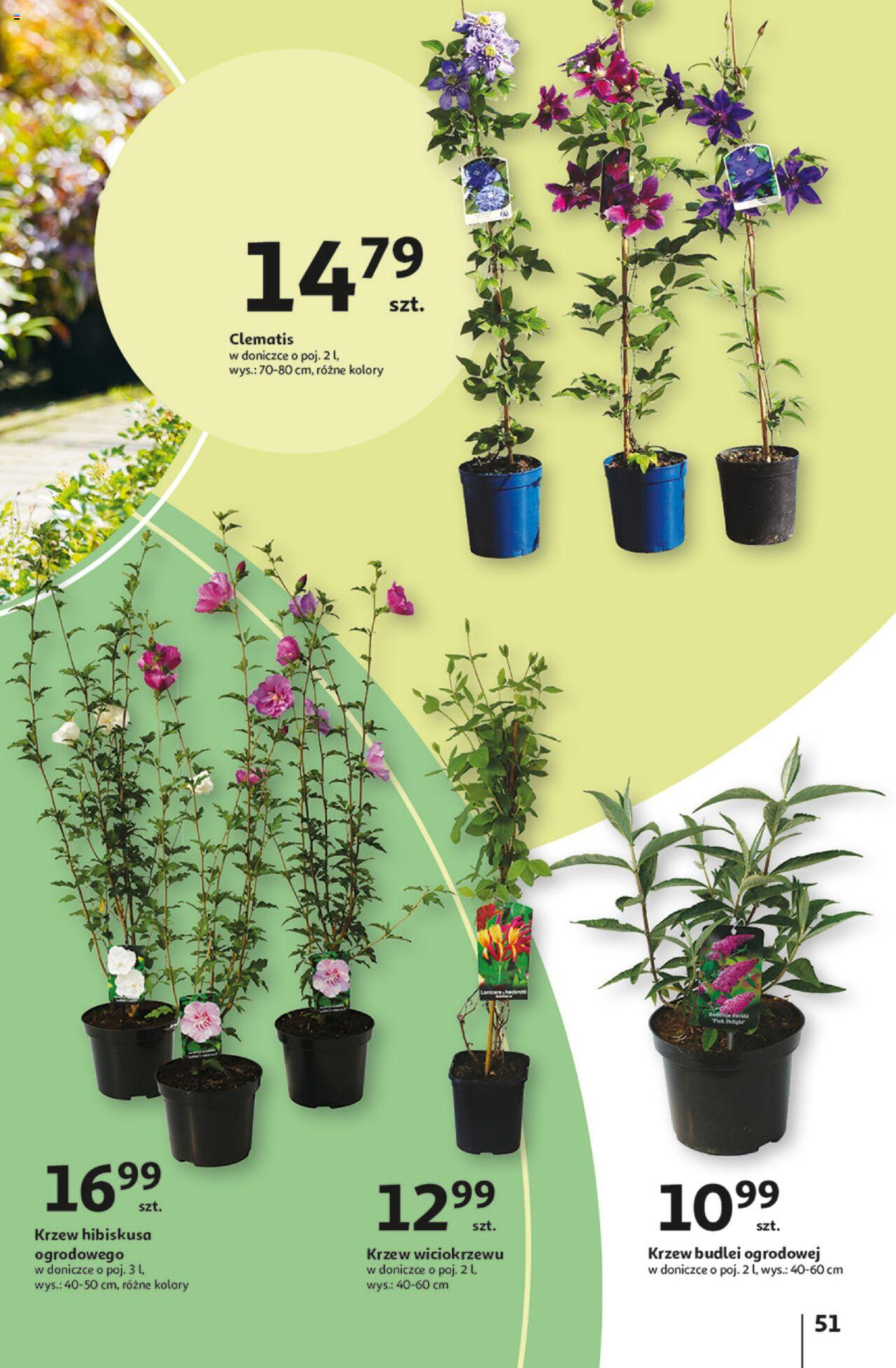 Auchan Aktywność na świeżym powietrzu! Hipermarket Gazetka ważna od 11.04.2024 do 17.04.2024 strona 50
