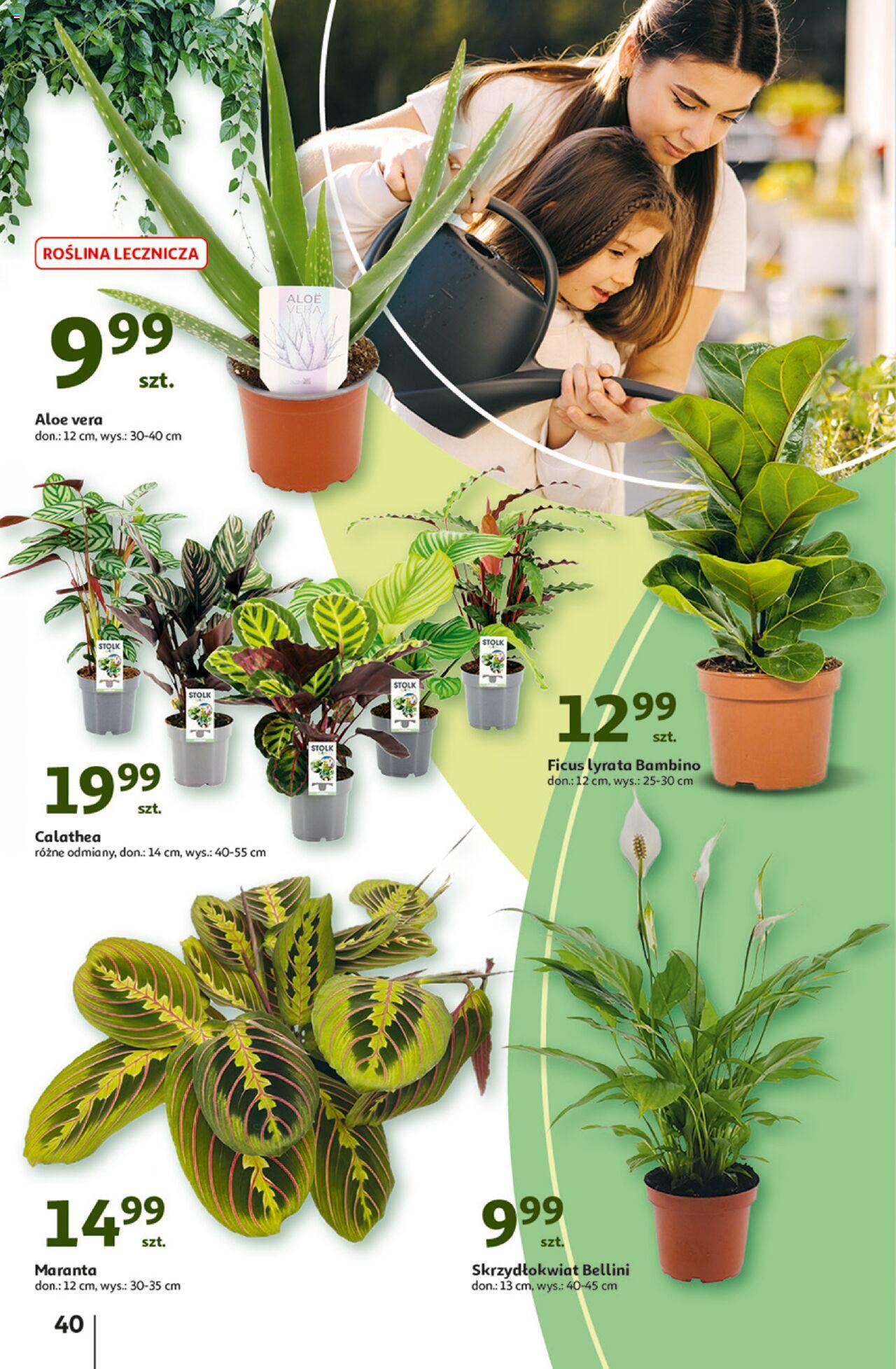 Auchan Ceny w dół Hipermarket Gazetka ważna od 27.06.2024 do 03.07.2024 strona 47