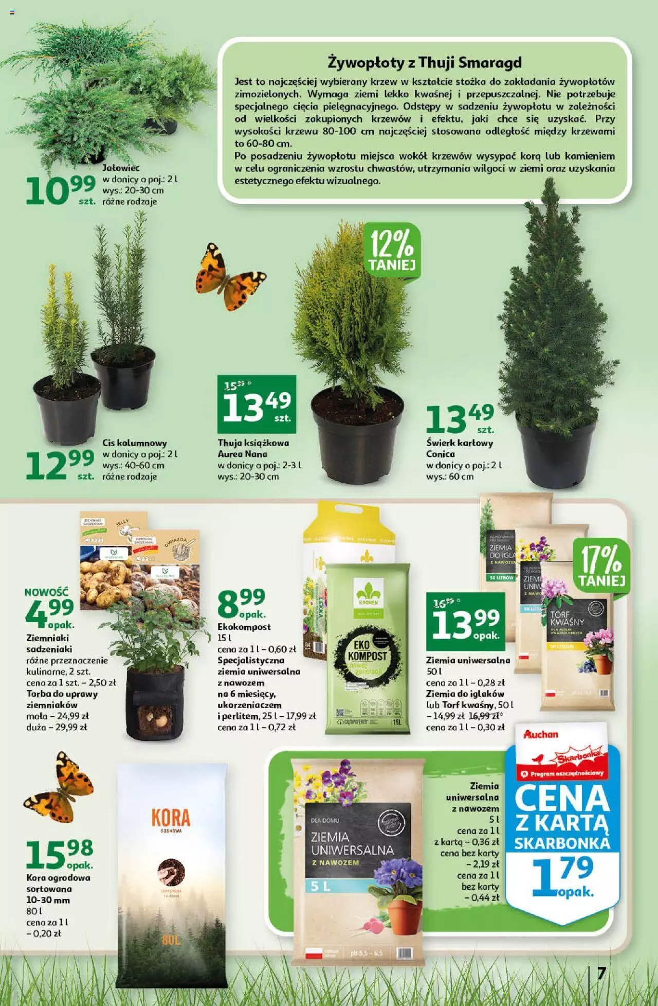 Auchan Gazetka Stwórz ogród pełen kolorów Hipermarket ważna  od  16.03.2023 do 22.03.2023 strona 7