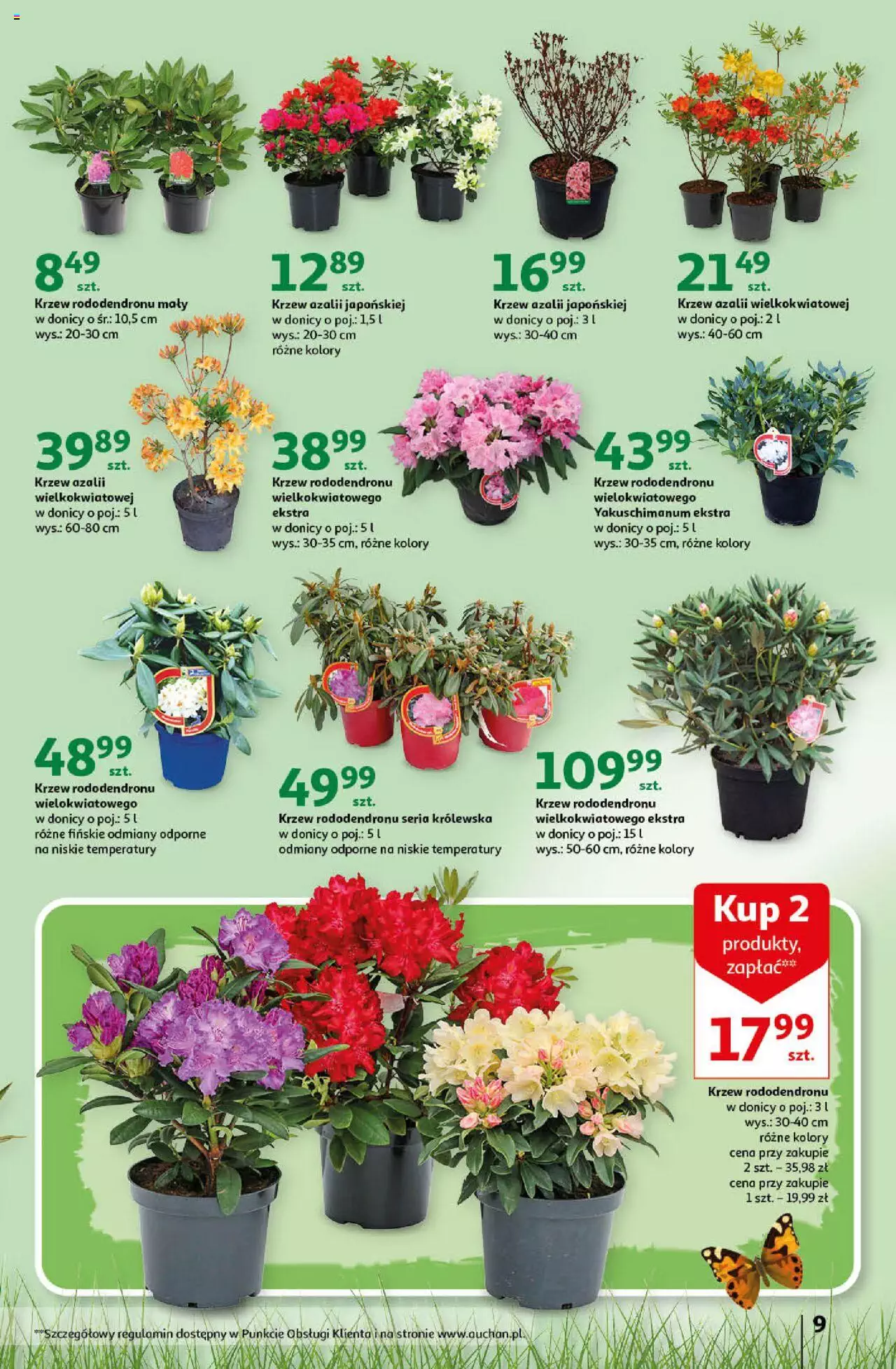 Auchan Gazetka Stwórz ogród pełen kolorów Hipermarket ważna  od  16.03.2023 do 22.03.2023 strona 9