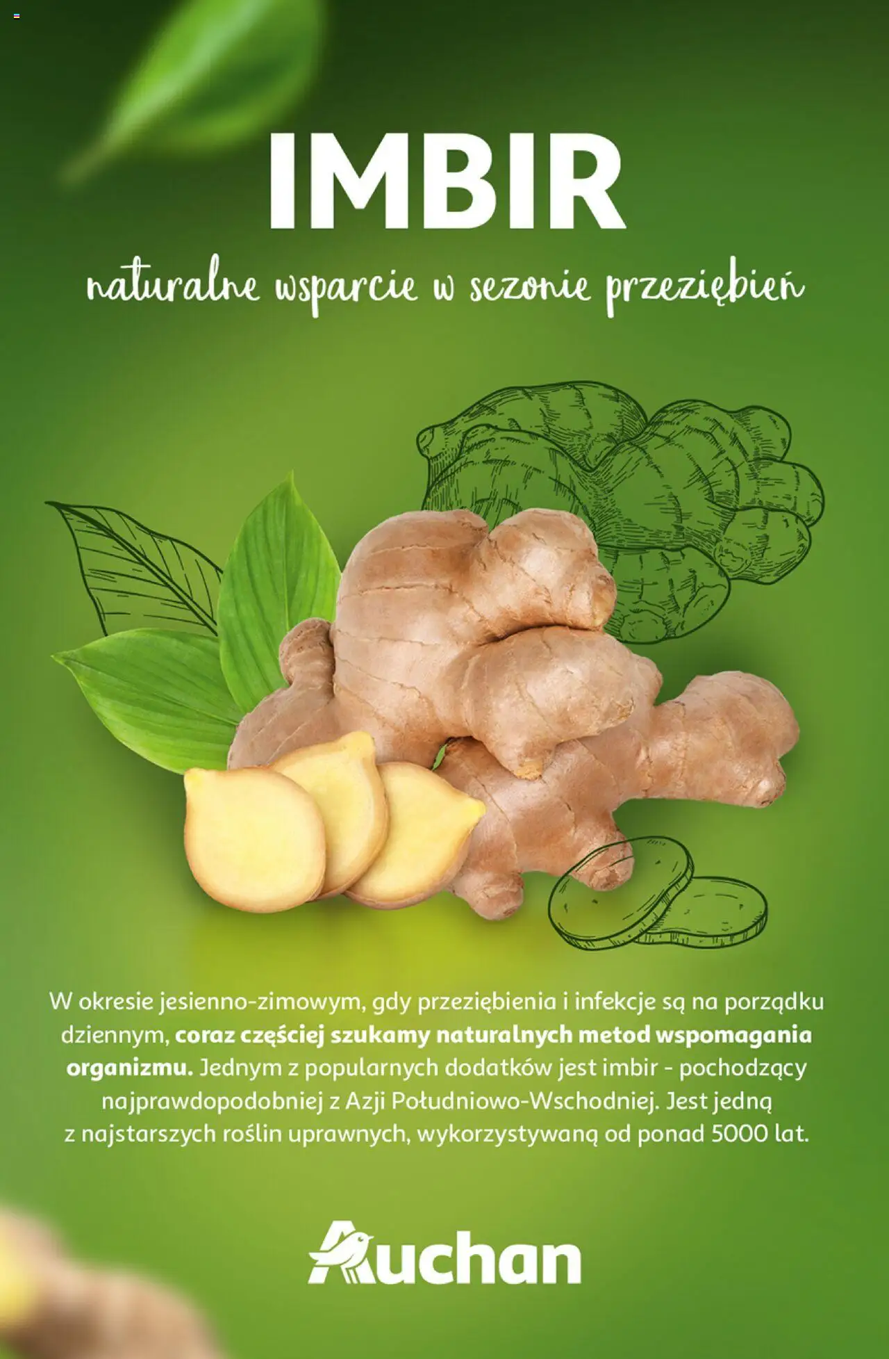 Auchan Z Małą Cenką Dźwigniesz Więcej Hipermarket Gazetka ważna od 06.02.2025 do 12.02.2025 strona 37