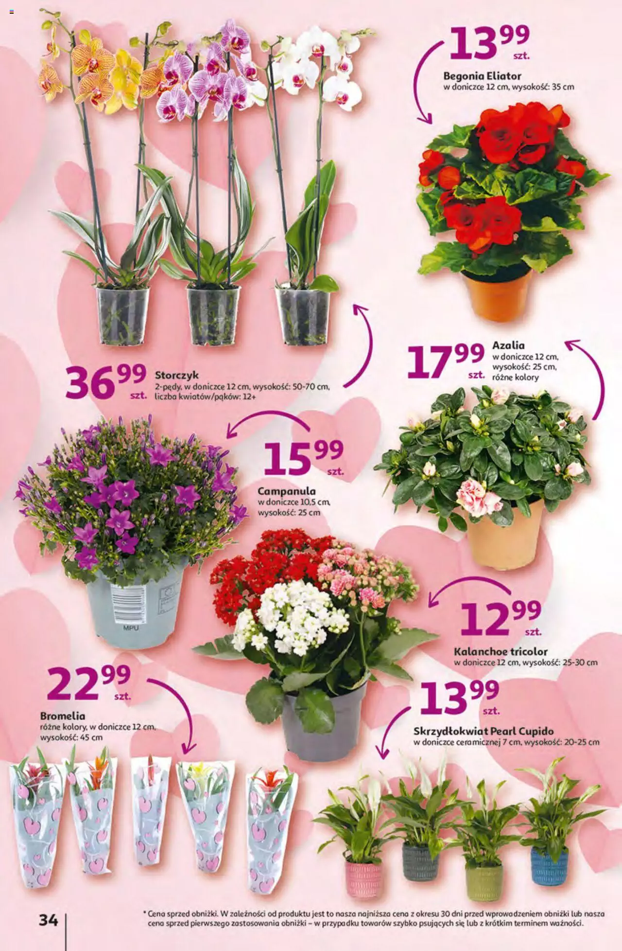 Auchan Korzyści z Kartą Skarbonka Hipermarket Gazetka ważna od 02.02.2023 do 08.02.2023 strona 34