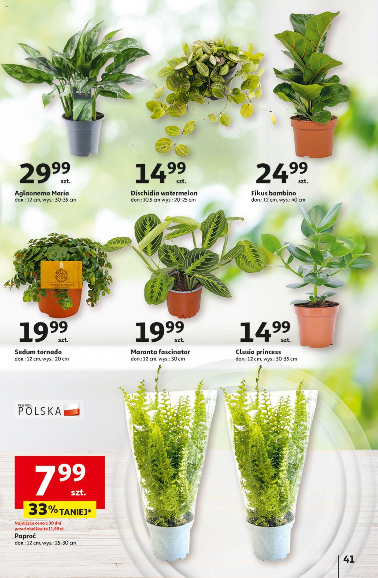 Auchan Pewność Niskich Cen Hipermarket Gazetka ważna od 03.10.2024 do 09.10.2024 strona 49