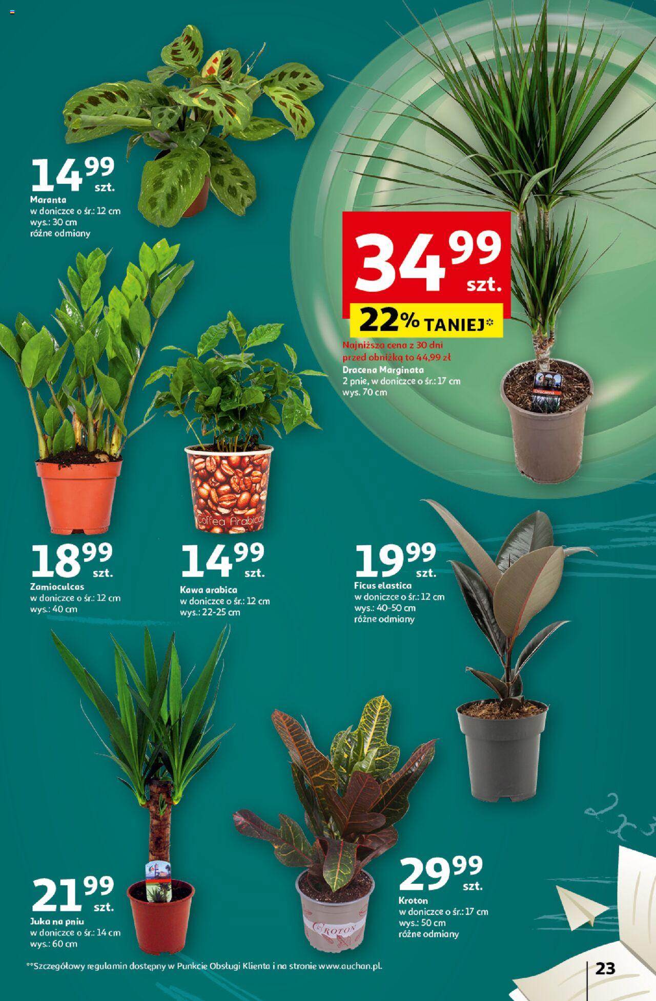 Auchan Pewność Niskich Cen Hipermarket Gazetka ważna od 10.10.2024 do 16.10.2024 strona 25