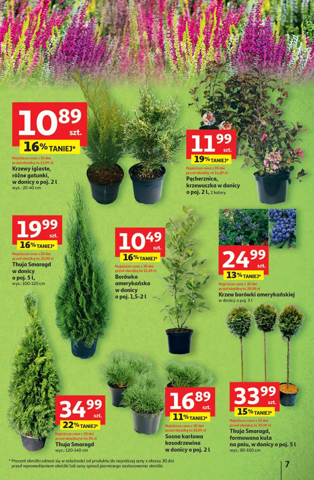 Auchan Pewność niskich cen Hipermarket Gazetka ważna od 11.09.2025 do 17.09.2025 strona 7