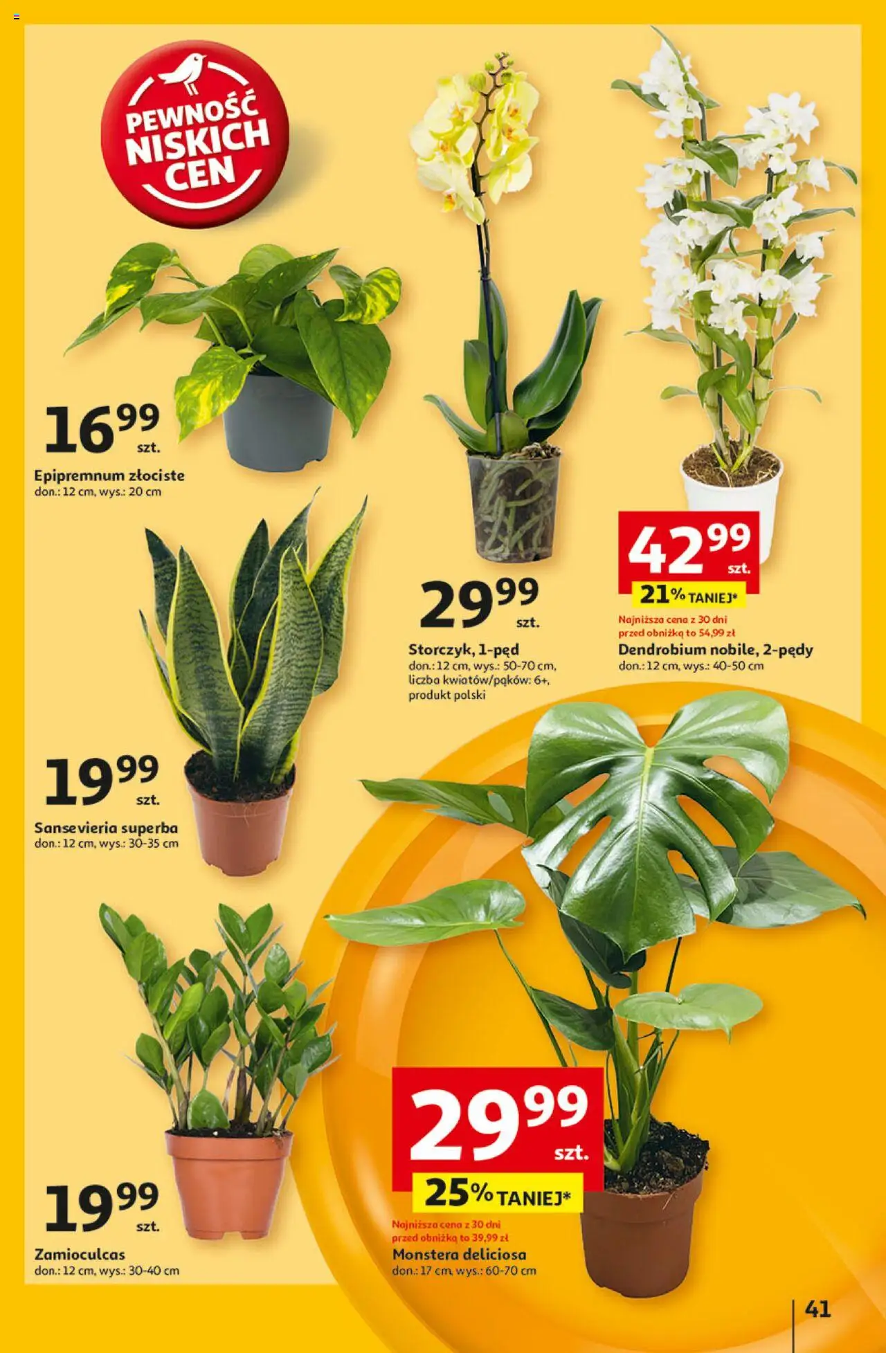 Auchan Pewność Niskich Cen Hipermarket Gazetka ważna od 27.02.2025 do 05.03.2025 strona 49