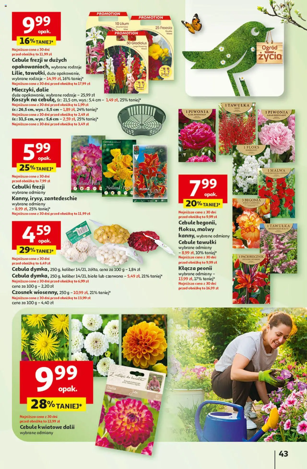 Auchan Pewność Niskich Cen Hipermarket Gazetka ważna od 27.02.2025 do 05.03.2025 strona 51