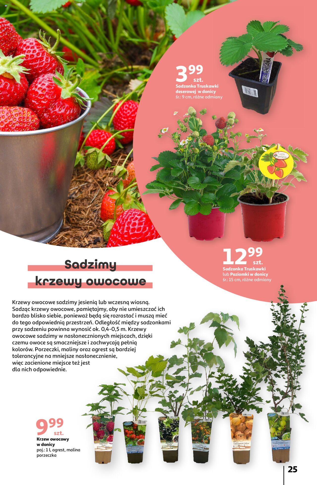 Auchan Piękno wokół Twojego domu Hipermarket Gazetka ważna od 04.04.2024 do 15.05.2024 strona 25