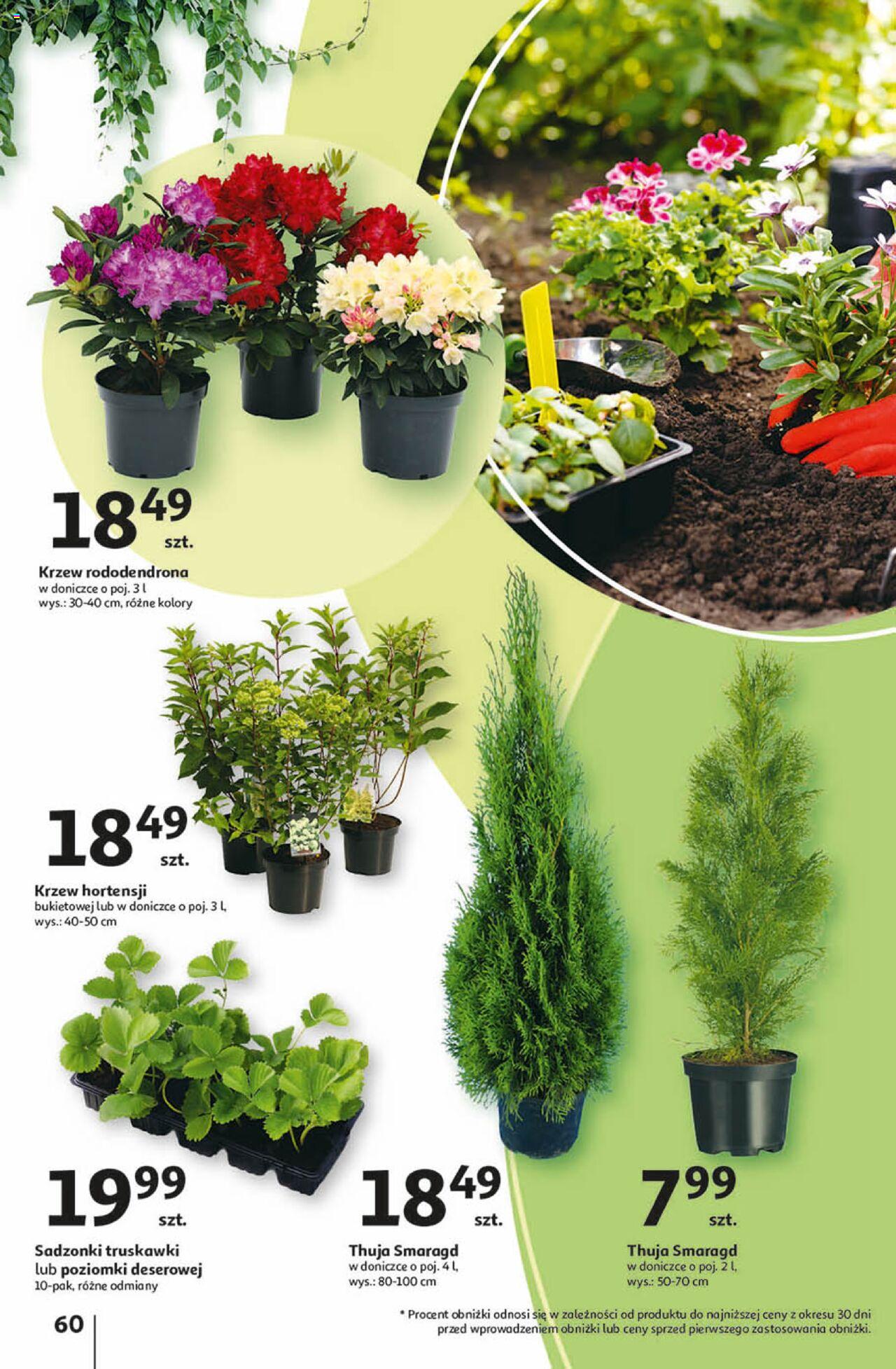 Auchan Przygotuj ogród na wiosnę! Hipermarket Gazetka ważna od 04.04.2024 do 10.04.2024 strona 56