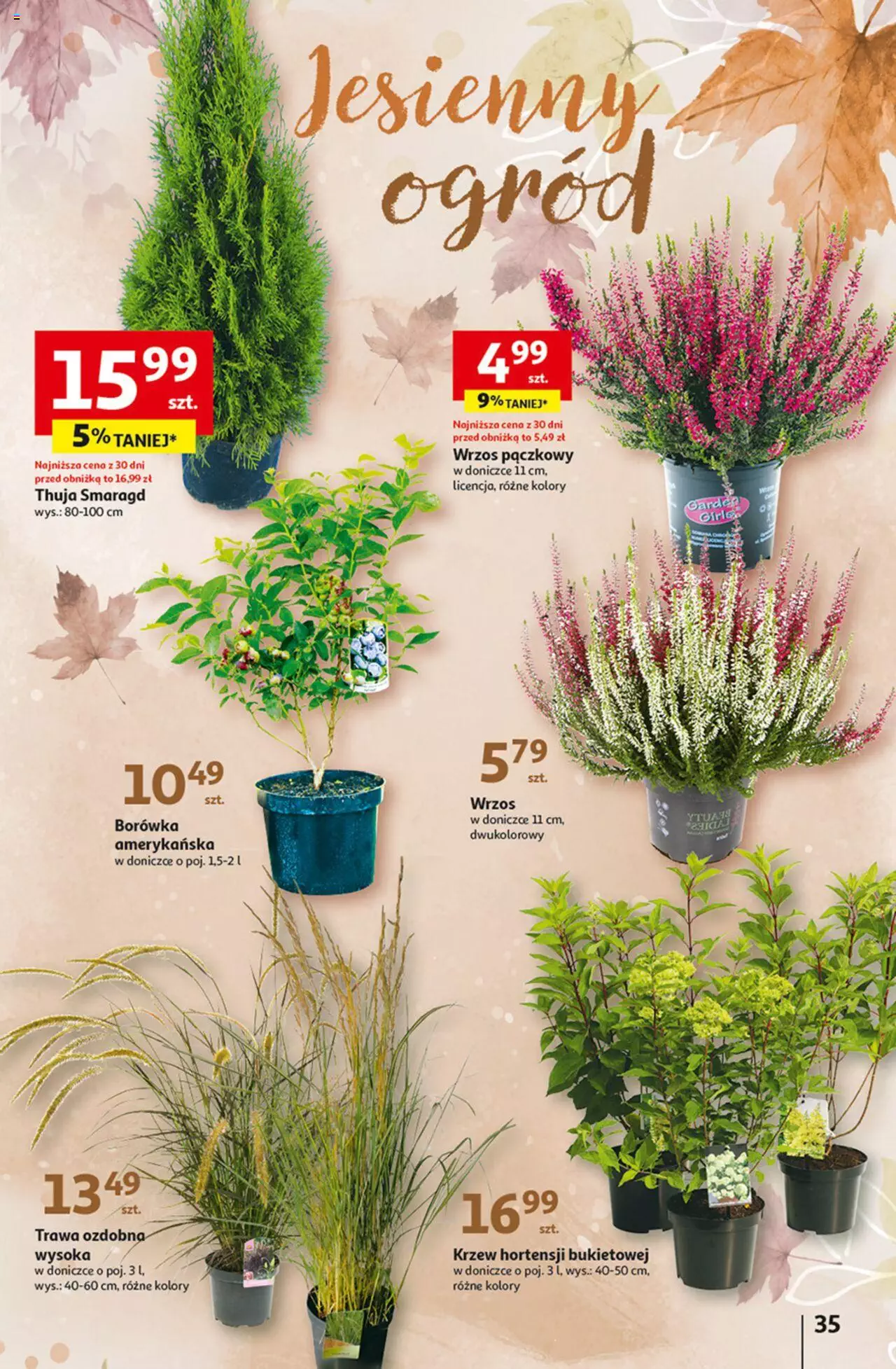 Auchan Rewelacyjnie małe CENY! Hipermarket Gazetka ważna od 07.09.2023 do 13.09.2023 strona 35