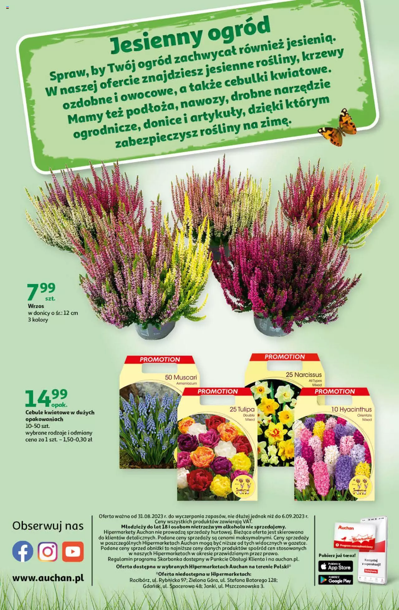 Auchan Sezonowe korzyści Hipermarket Gazetka ważna od 31.08.2023 do 06.09.2023 strona 40