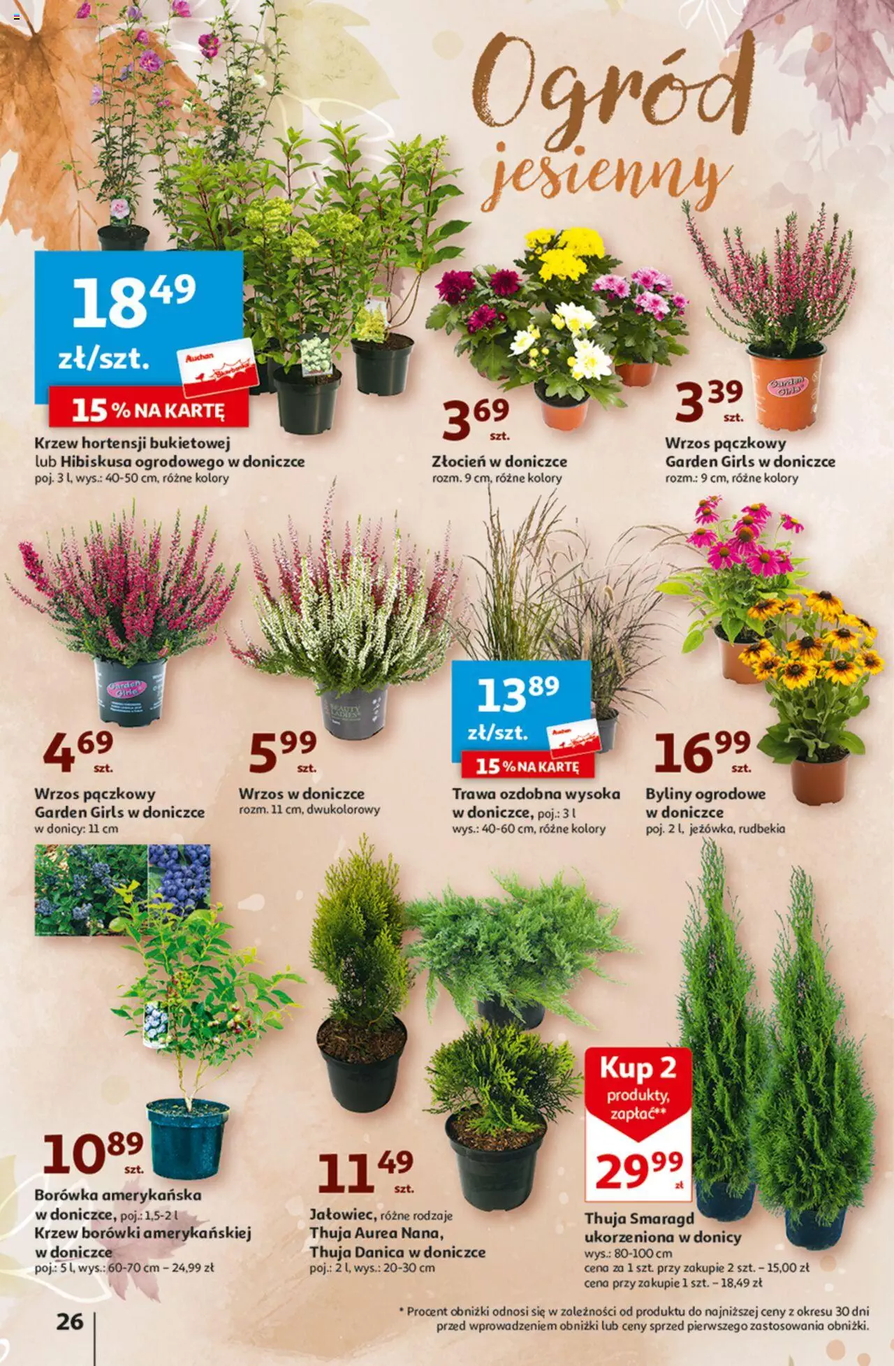Auchan Tanie Zakupy Hipermarket Gazetka ważna od 24.08.2023 do 30.08.2023 strona 26