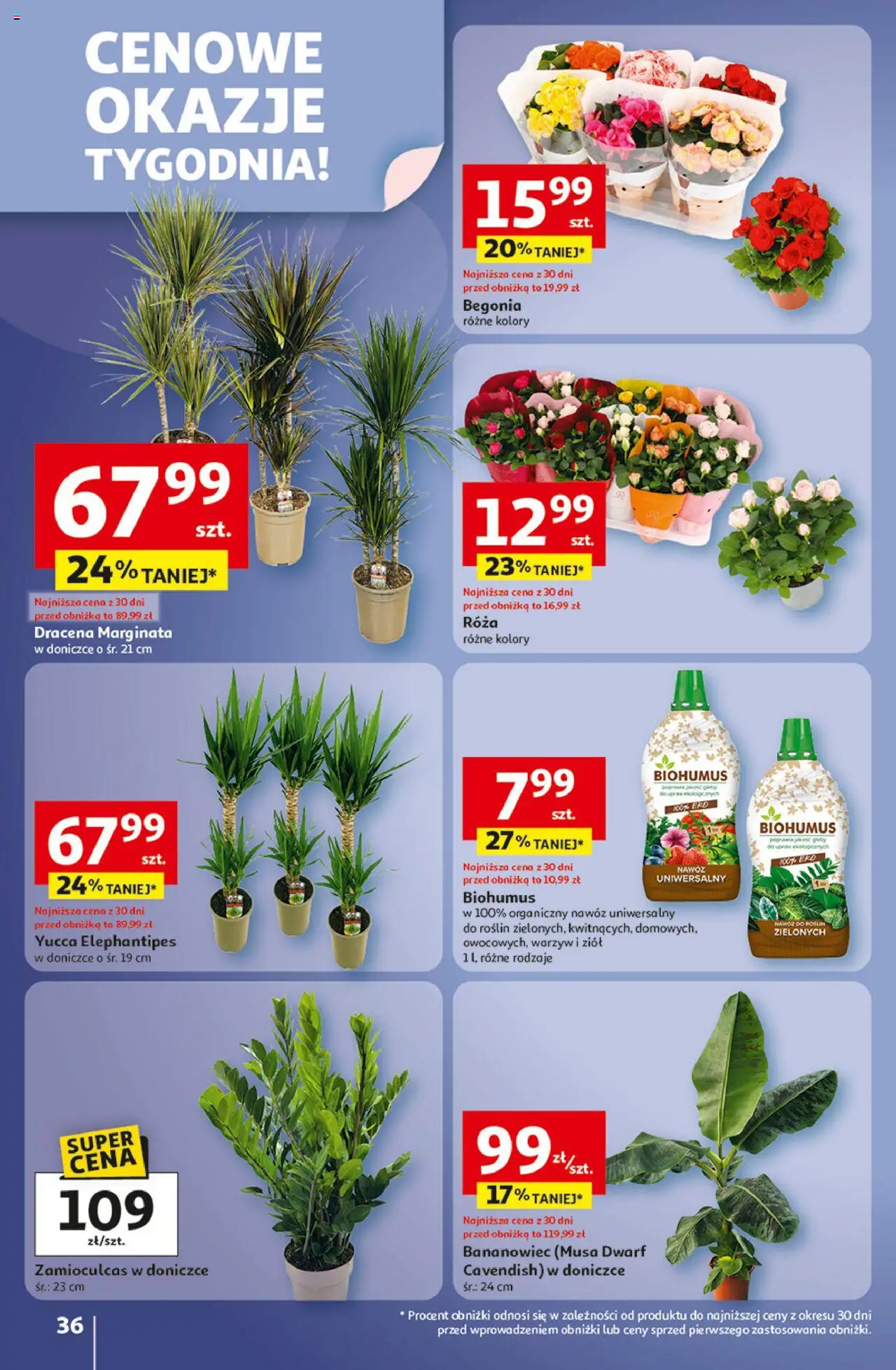 Auchan Wielkie przeboje cenowe Hipermarket Gazetka ważna od 02.10.2025 do 08.10.2025 strona 36