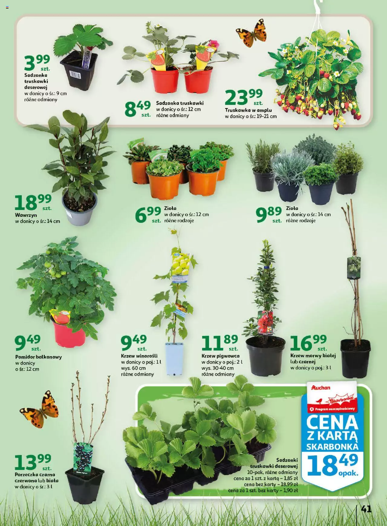 Auchan Wiosenne korzyści Hipermarket Gazetka  ważna od 20.04.2023 do 26.04.2023 strona 41