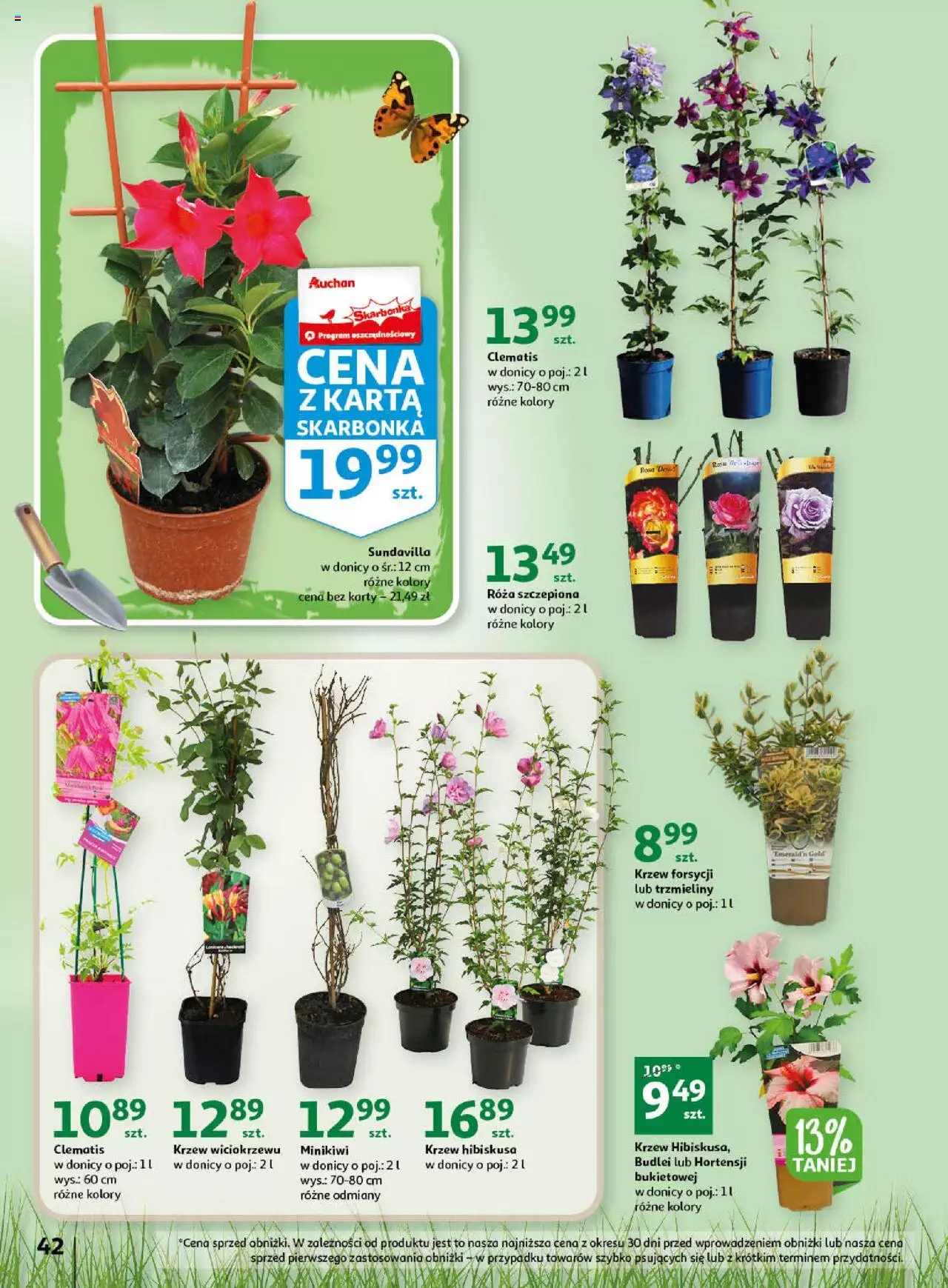 Auchan Wiosenne korzyści Hipermarket Gazetka  ważna od 20.04.2023 do 26.04.2023 strona 42