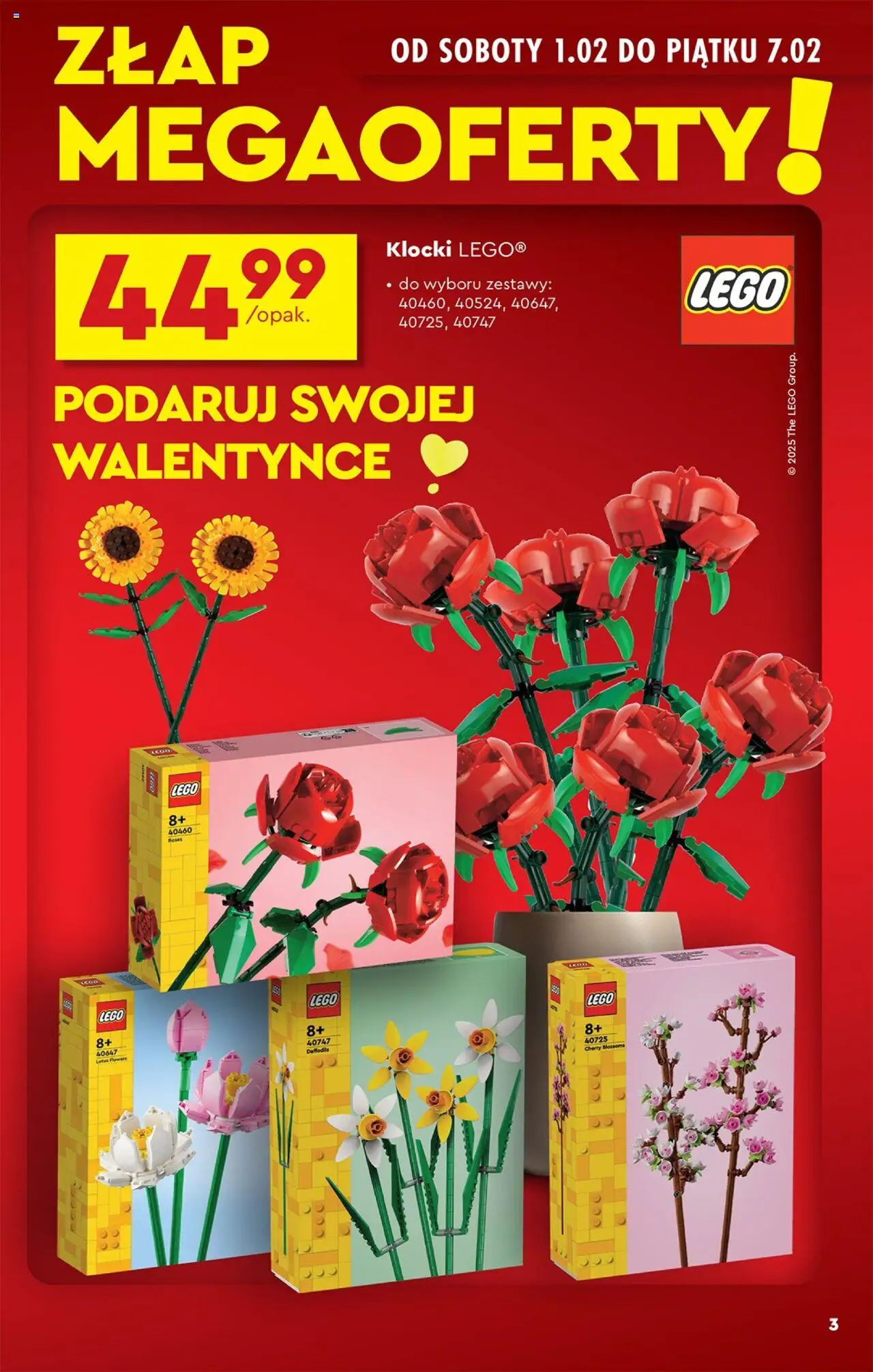 Biedronka gazetka Okazje tygodnia ważna od 01.02.2025 do 15.02.2025 strona 3