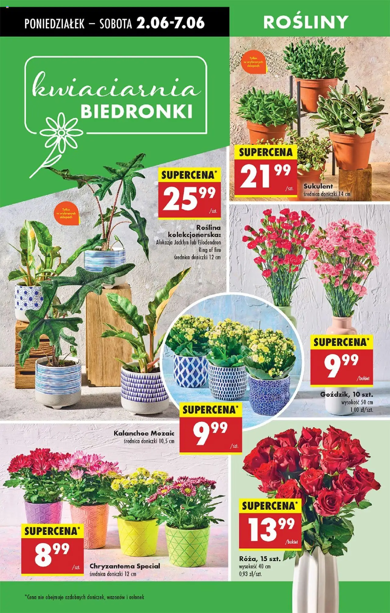 Biedronka gazetka ważna od 02.06.2025 do 07.06.2025 strona 19