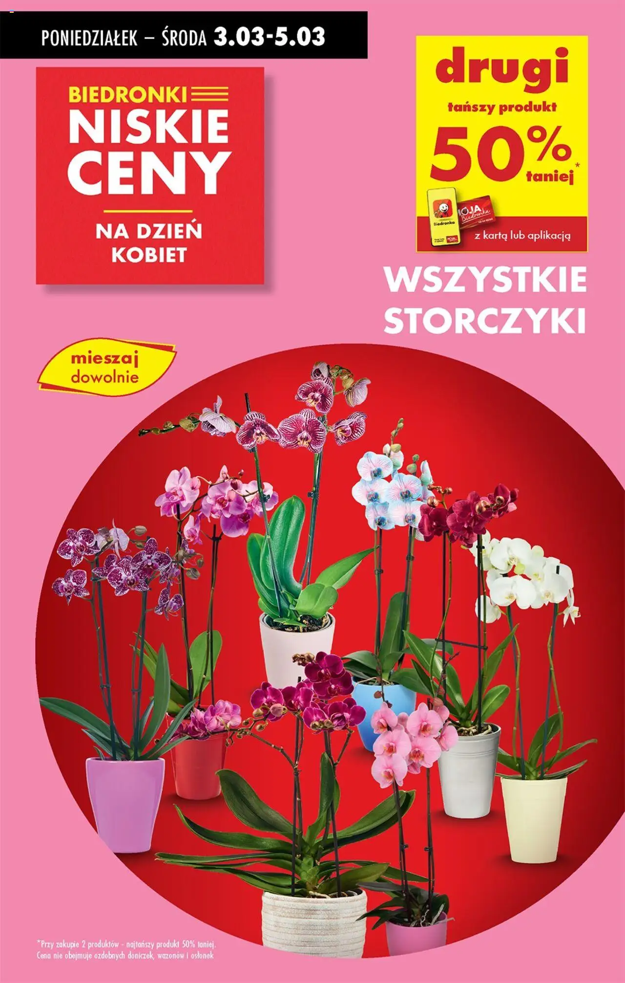 Biedronka gazetka ważna od 03.03.2025 do 08.03.2025 strona 17